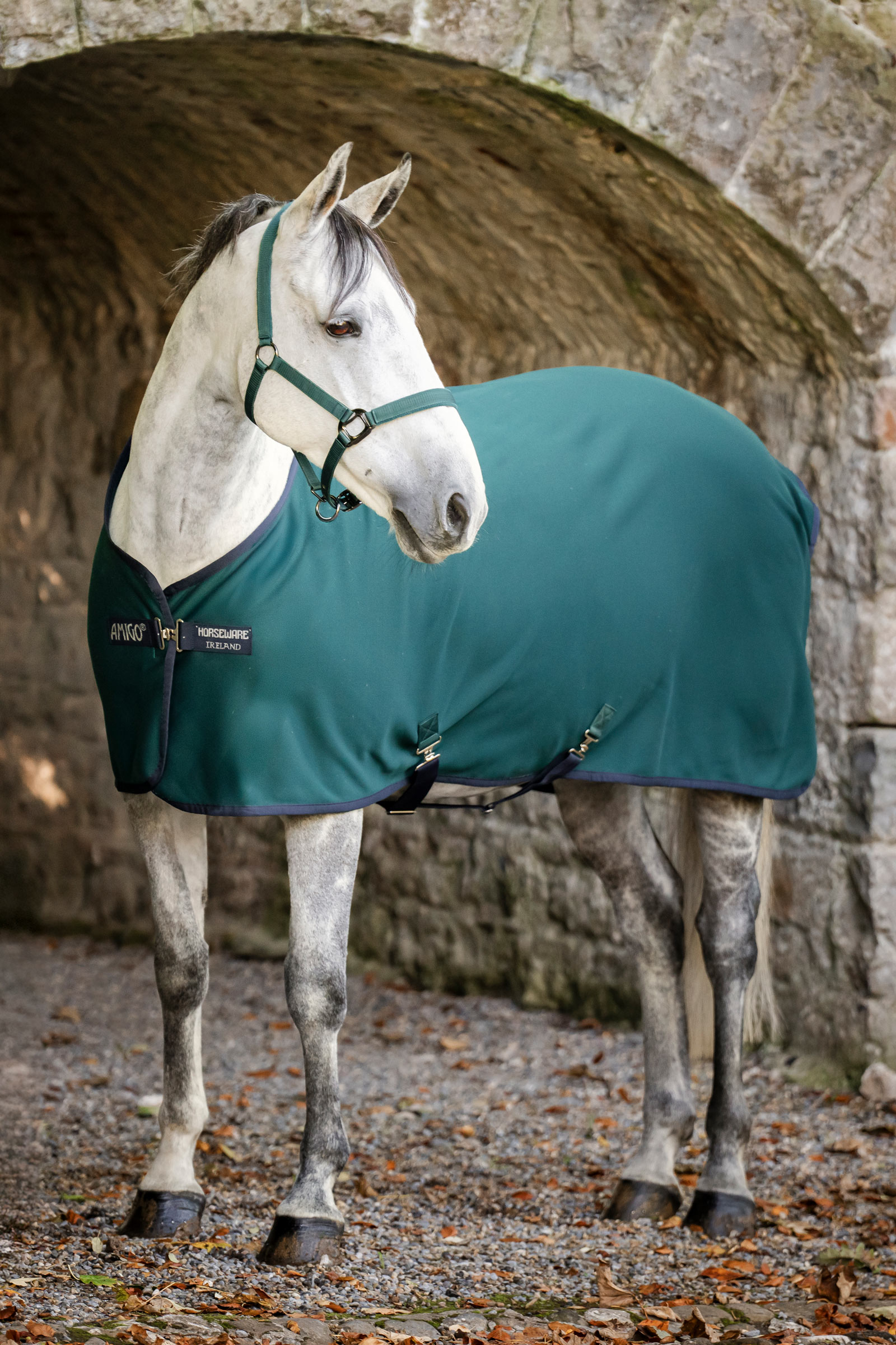 Dynasty Green/Navy/Silver Horseware Amigo manta de secado jersey