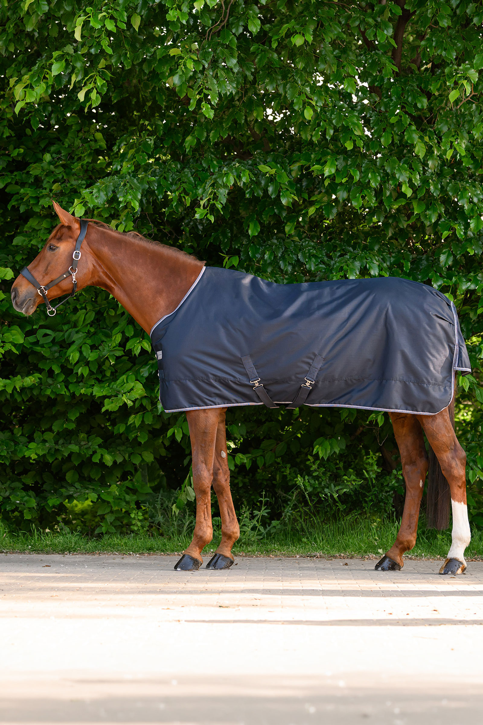 Waldhausen ECONOMIC manta exterior, 100g