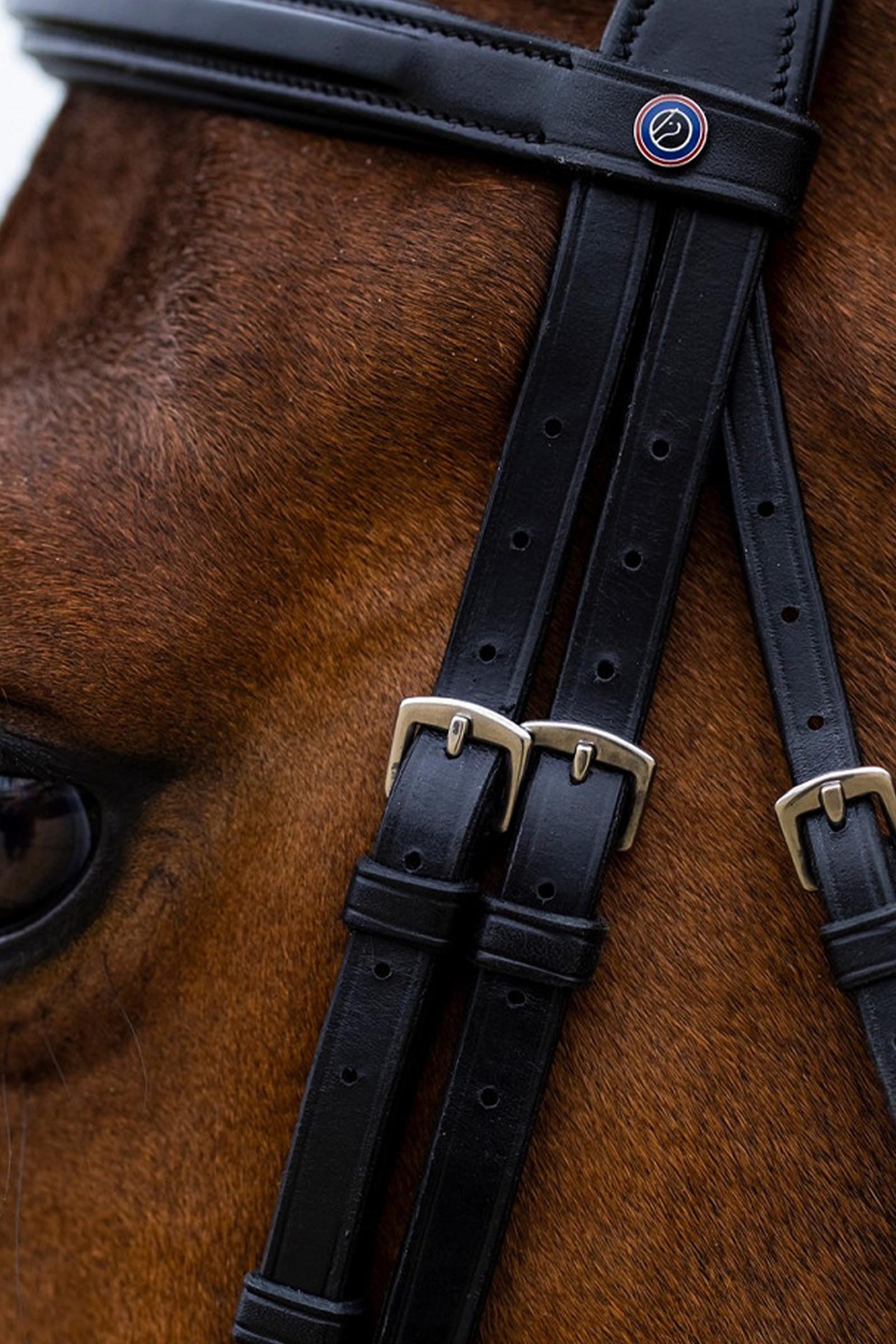 Trust Equestrian Amsterdam Combined Noseband Anatomic Bridle