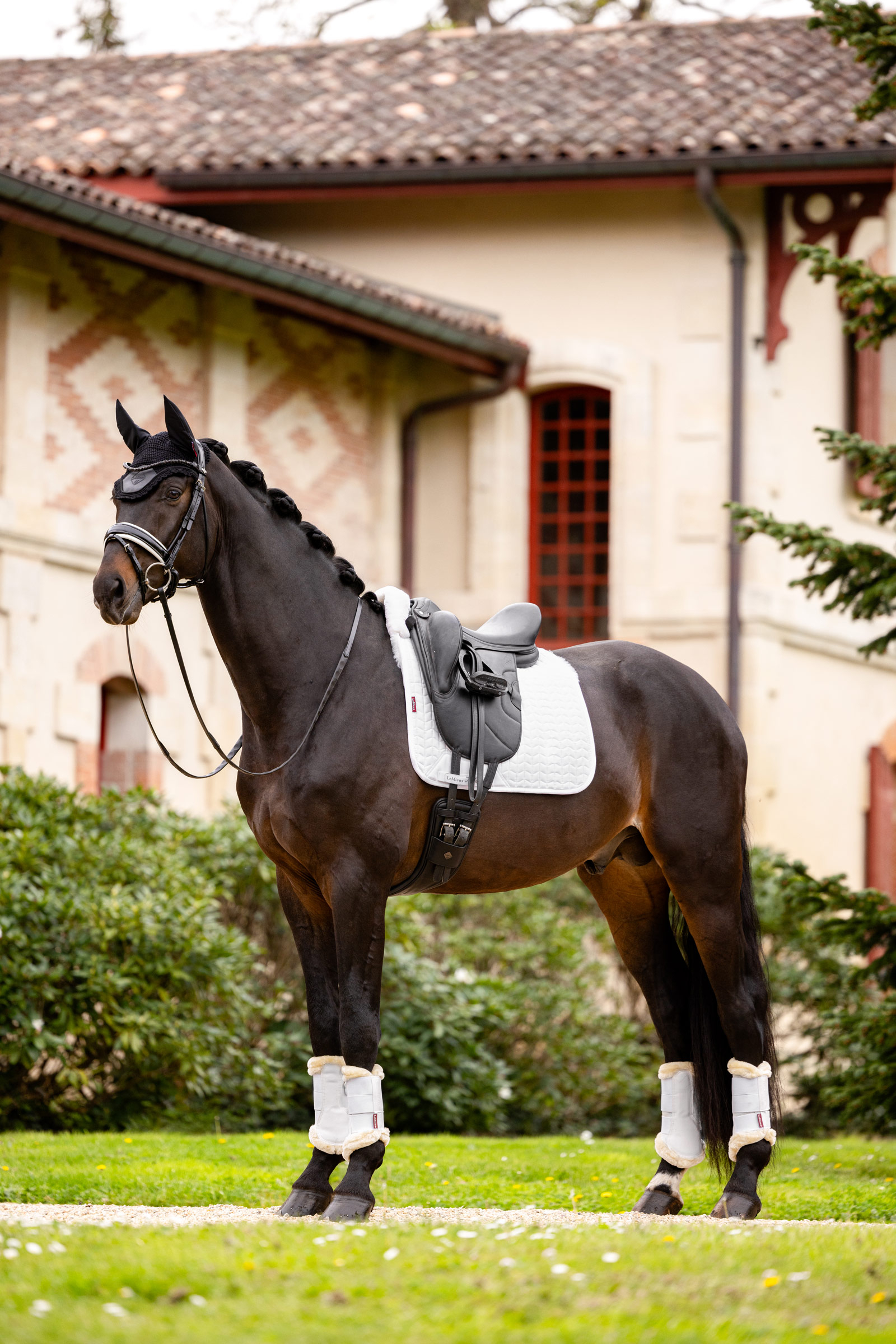LeMieux Merino+ Mantilla de Adiestramiento, medio forrado