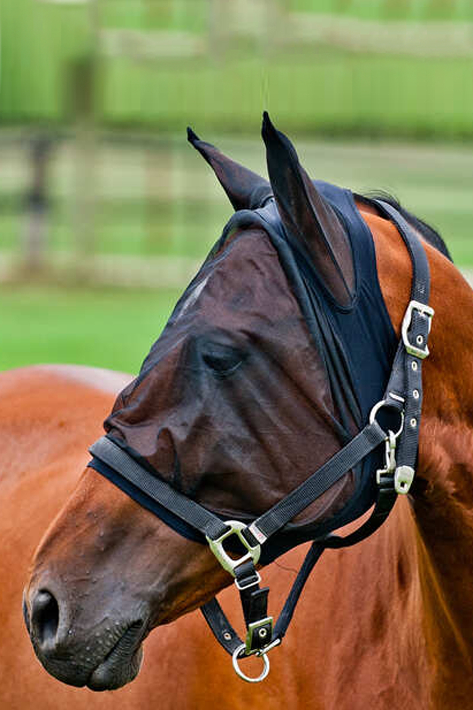 Máscara Anti-Mosca de Malla Horze