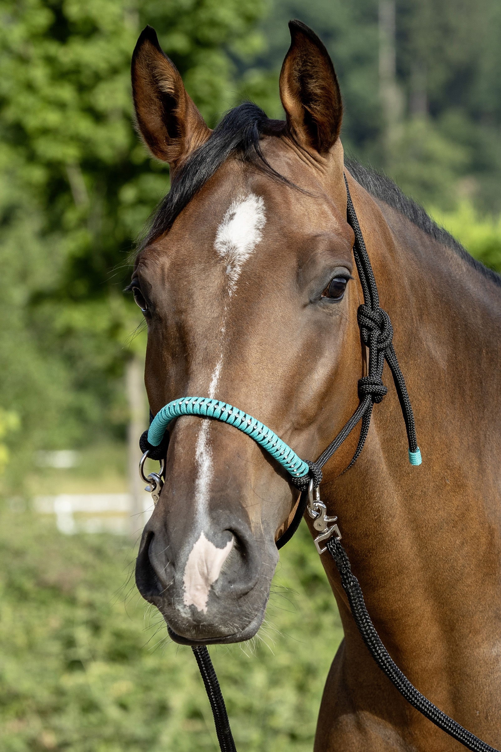 USG Knotted Rope Halter with Reins