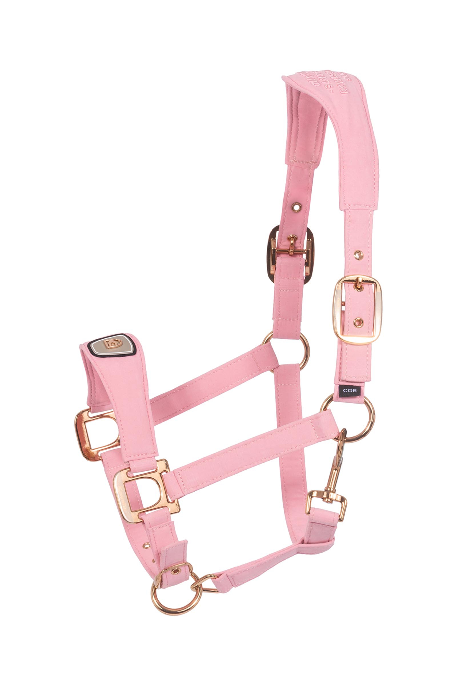 Powder Pink Cavallo CAVALPAWEL cabestro