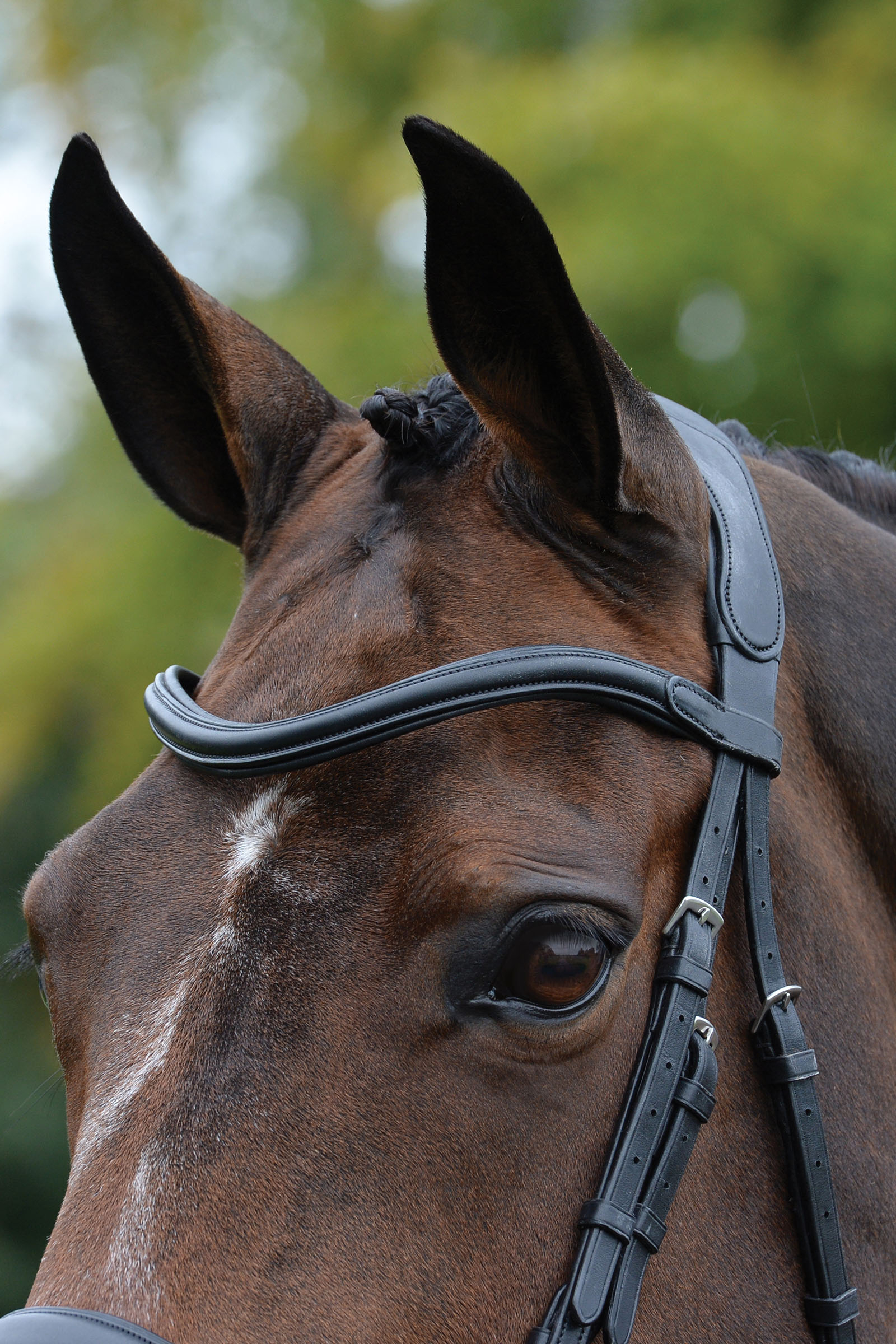 Collegiate Comfitec Vogue cabezada anatómica