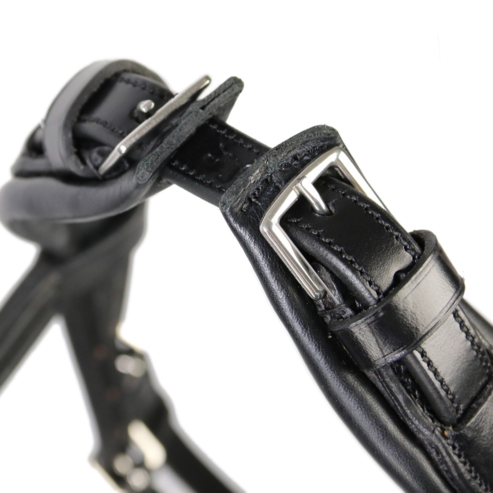 Testera Schockemöhle Sports Equitus Rho