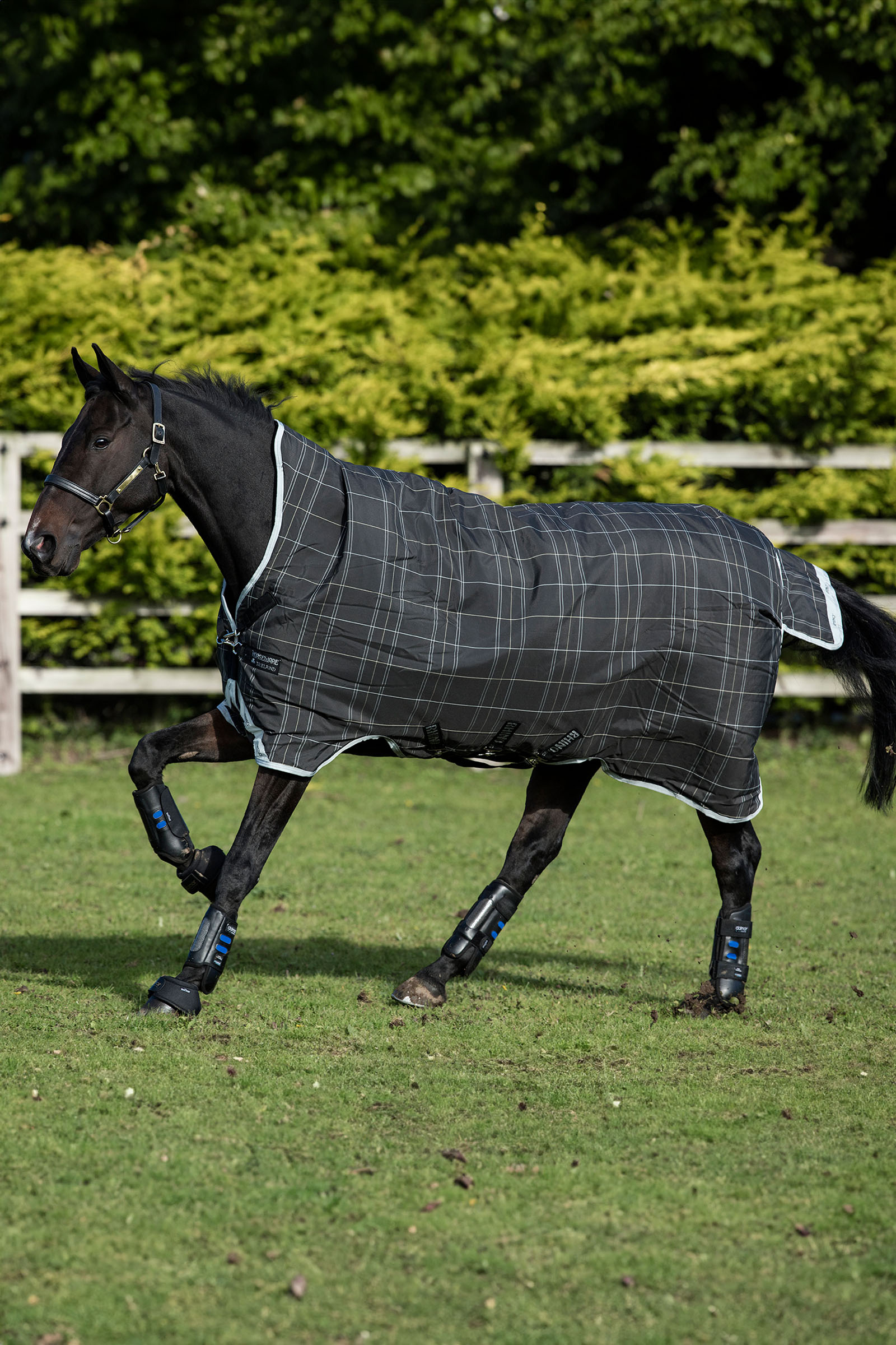 Black/Grey/White Check & Gray Horseware Rhino Wug manta de exterior, 100 g