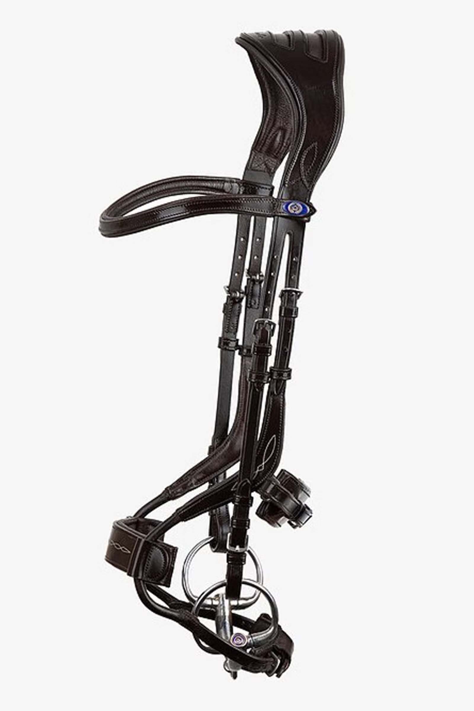 Brown Cabezada PS of Sweden High Jump