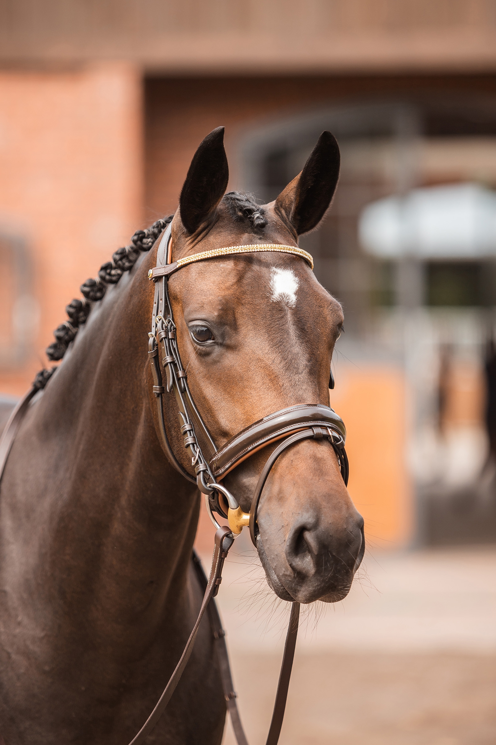 Frontalera con Cristales y Alambre Horze Nancy