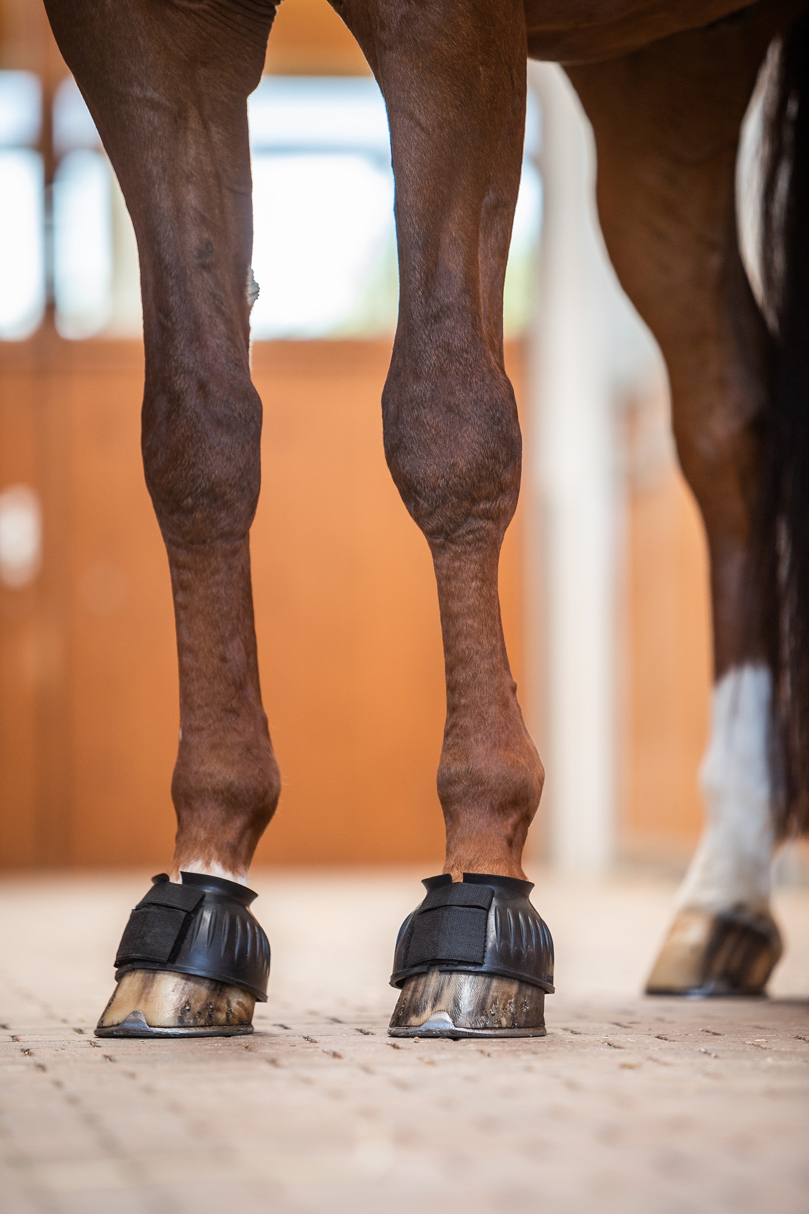 Campanas Anti-Torsi&oacute;n  Bloqueadas Horze
