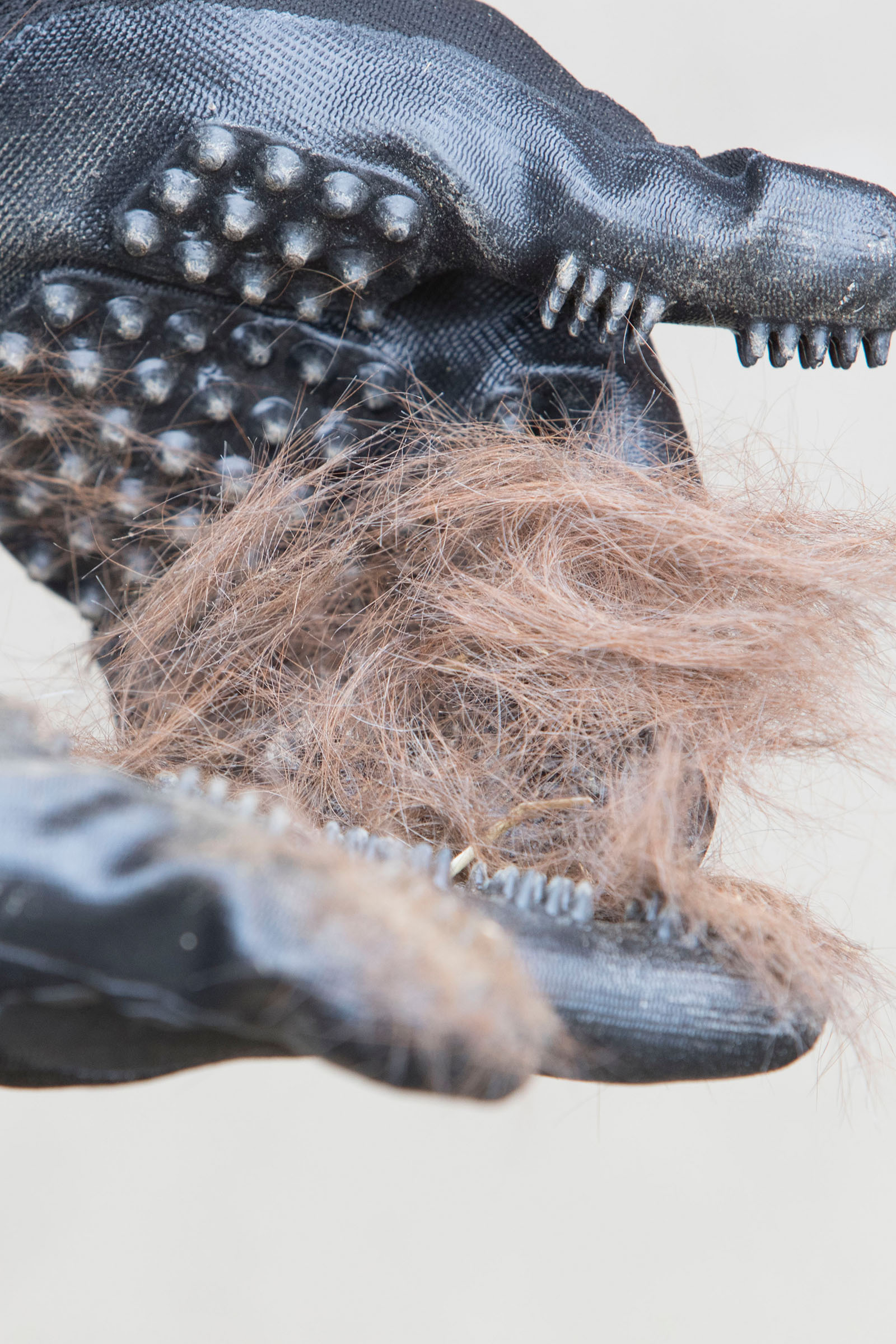 LeMieux Hands On guante de cuidado