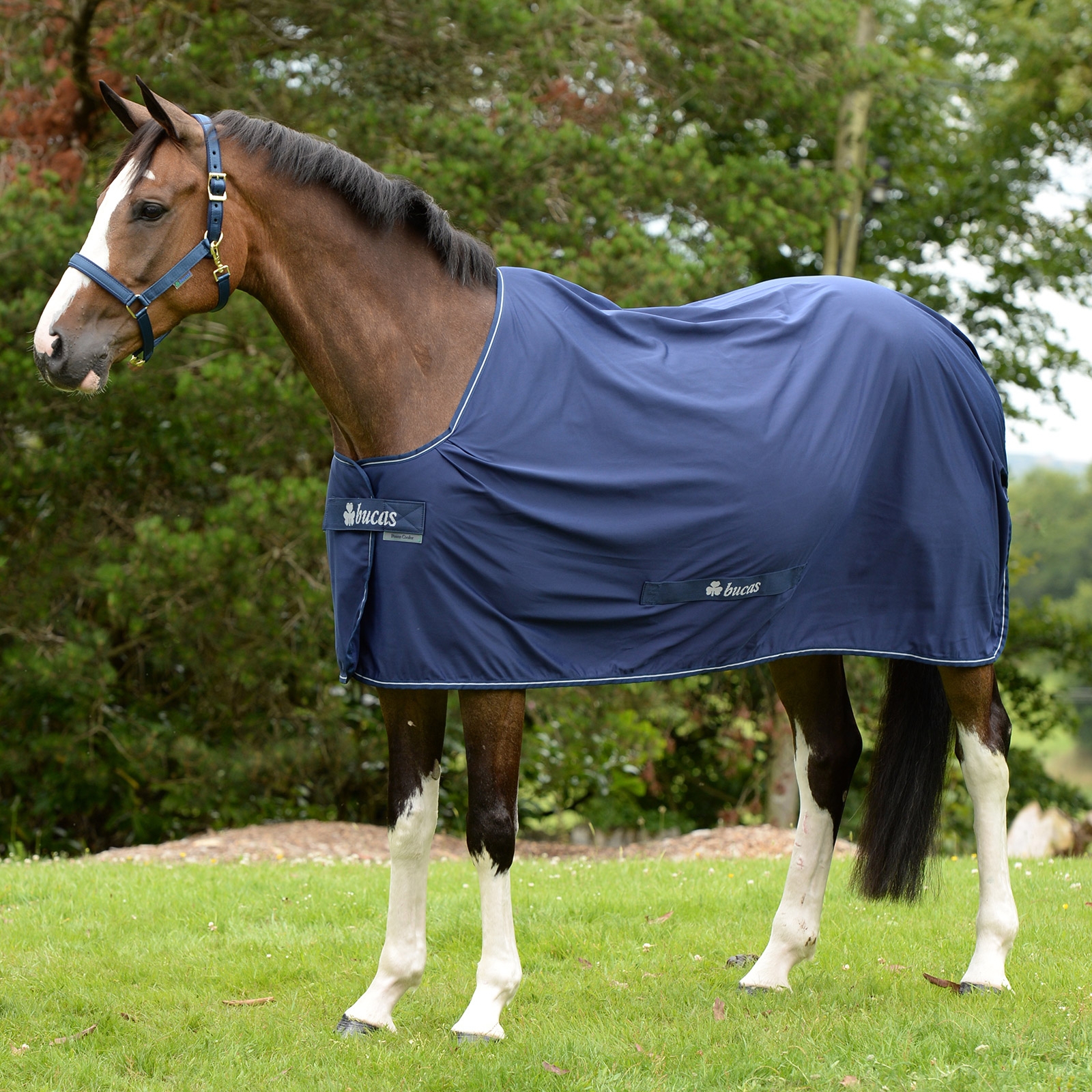 Manta de Secado para Poni Bucas Shamrock Power