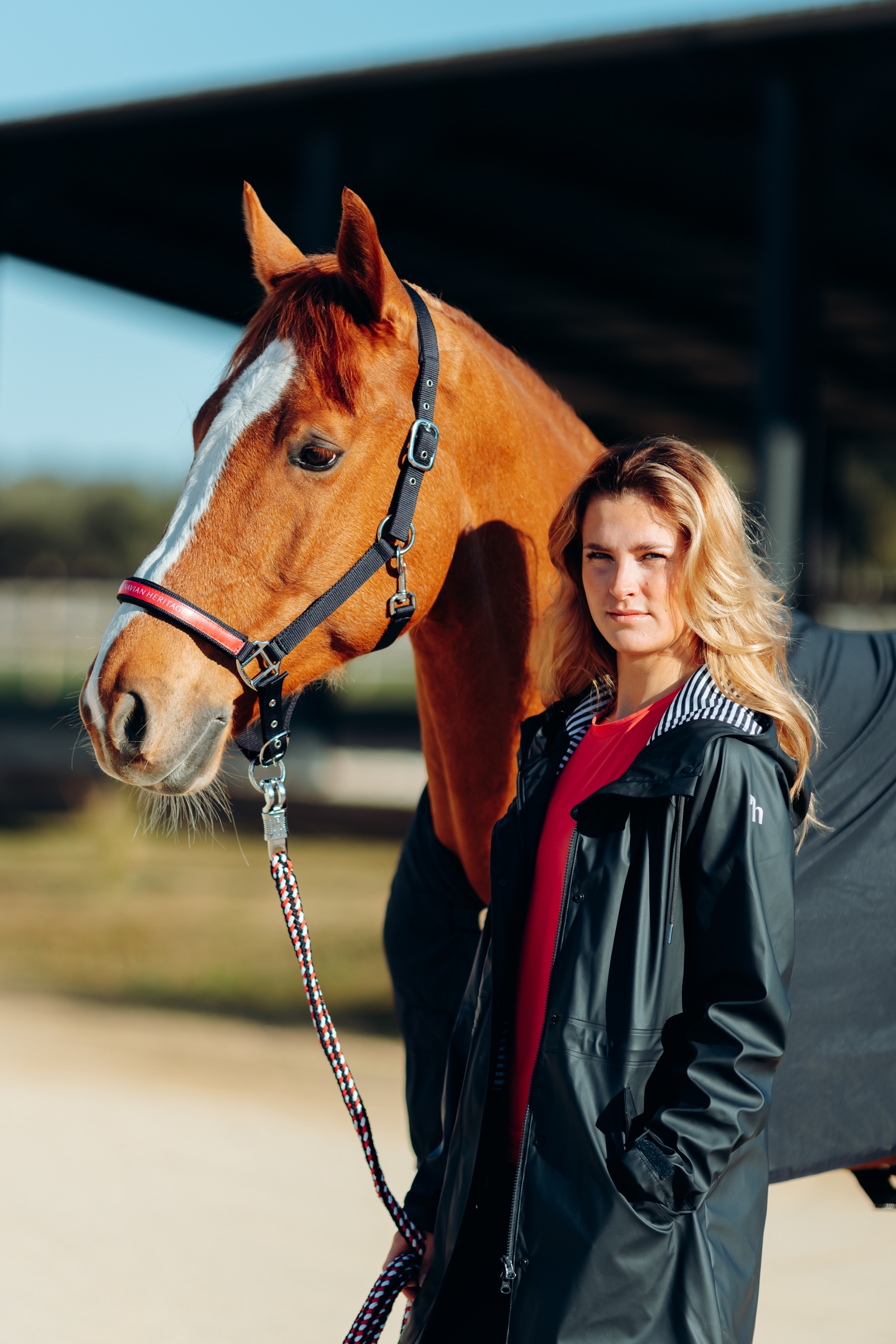 Cabezada de Cuadra Horze Oslo