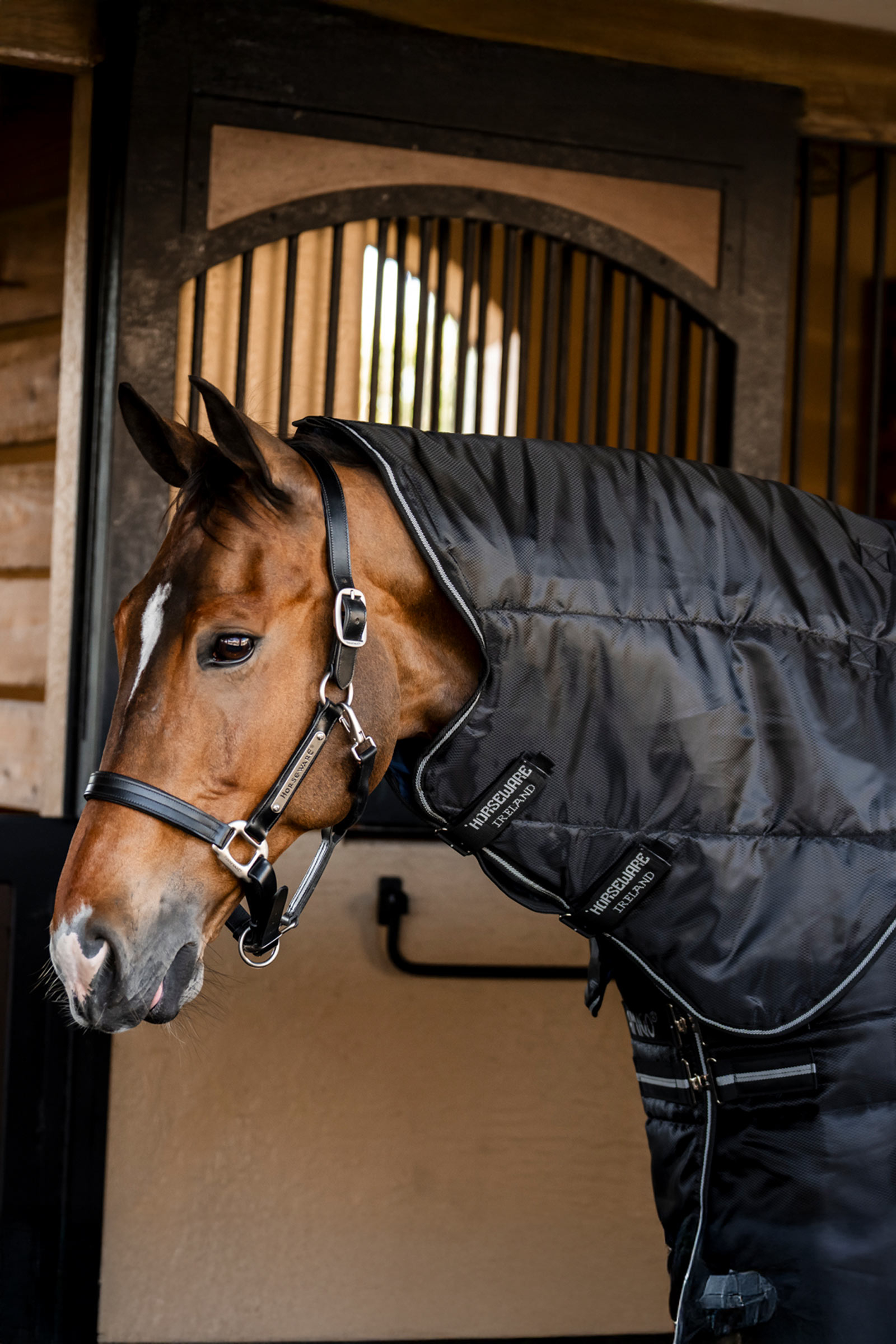 Horseware Amigo Ripstop Insulator Plus manta de cuadra, 350 g