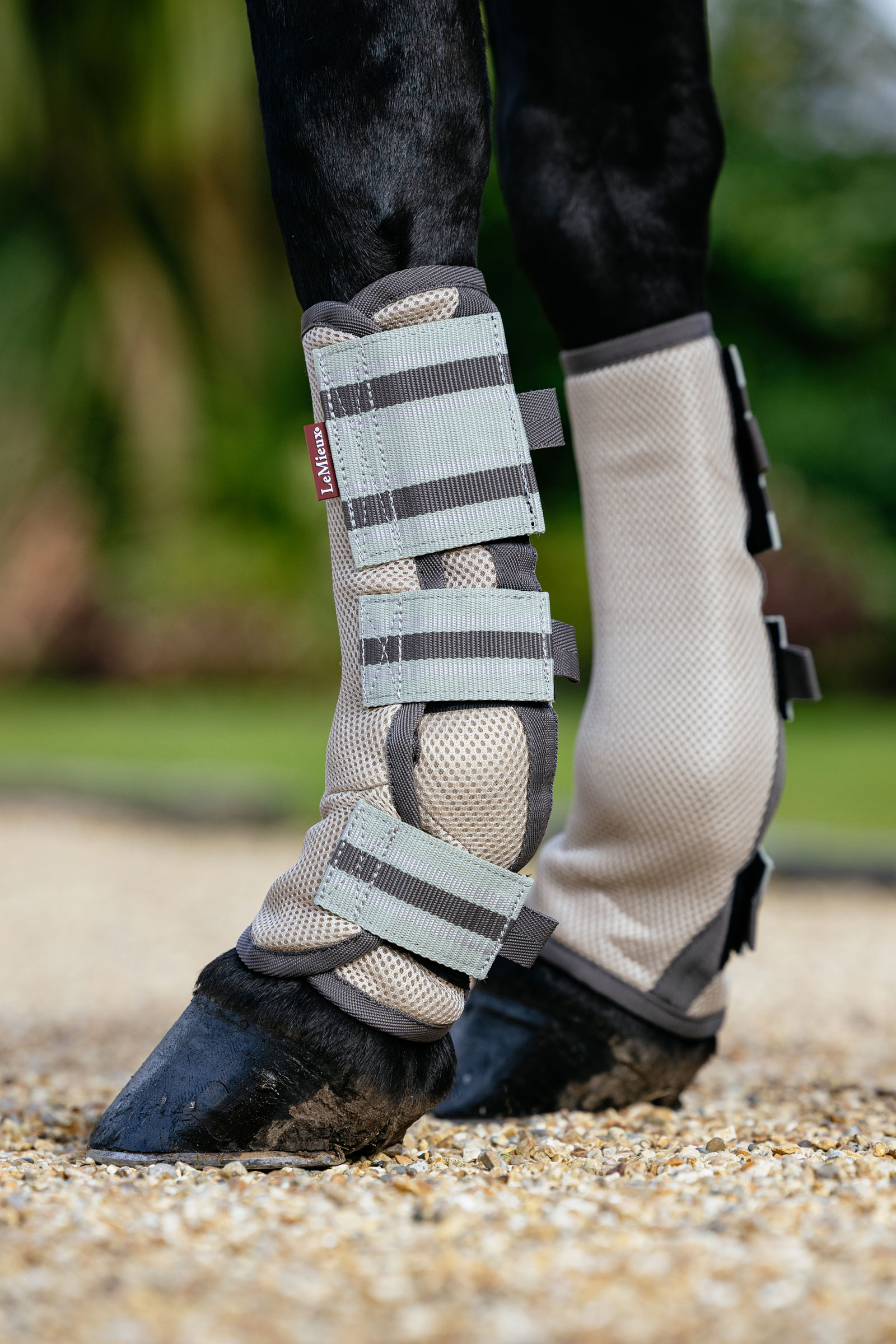 LeMieux Arika protectores antimoscas de malla set de 4