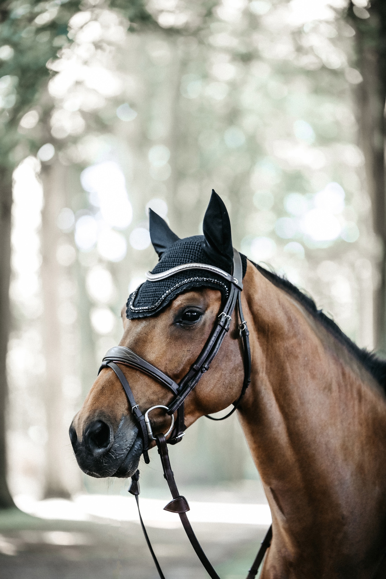 Kentucky Horsewear Fly Veil Wellington piedra y perla