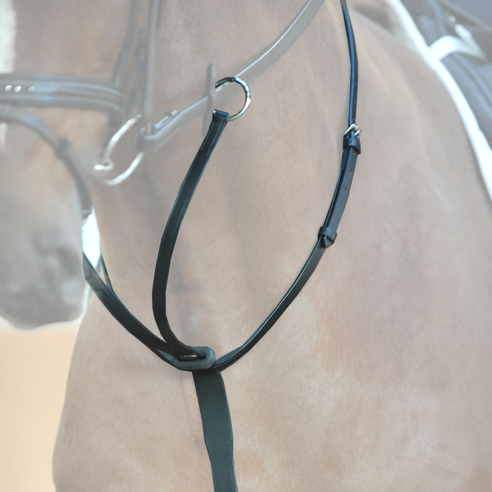 Martingala de cabalgata