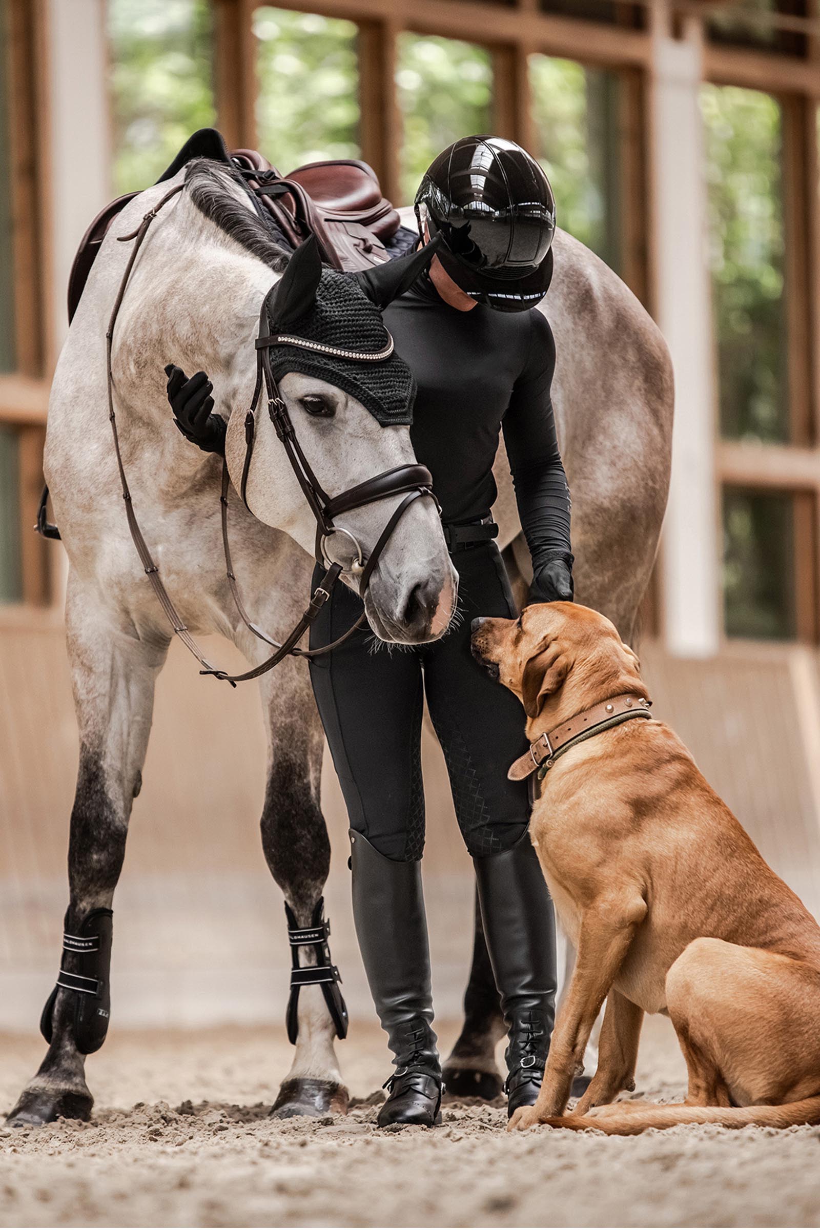 SWING H24 Lady Glossy casco de equitaci&oacute;n mujer