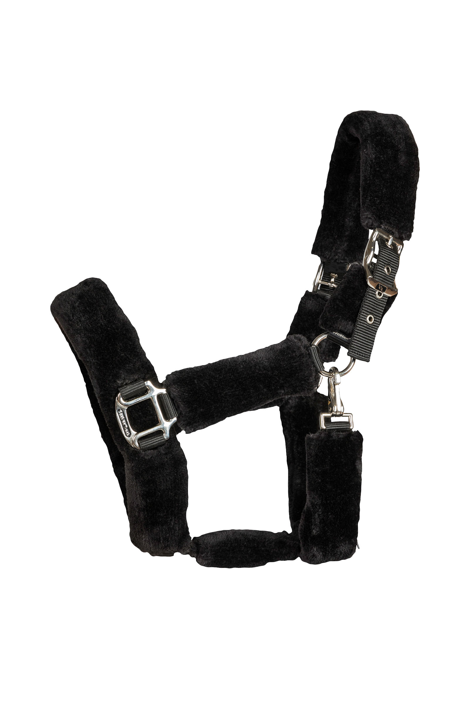 Back on Track Audrey cabezada de cuadra