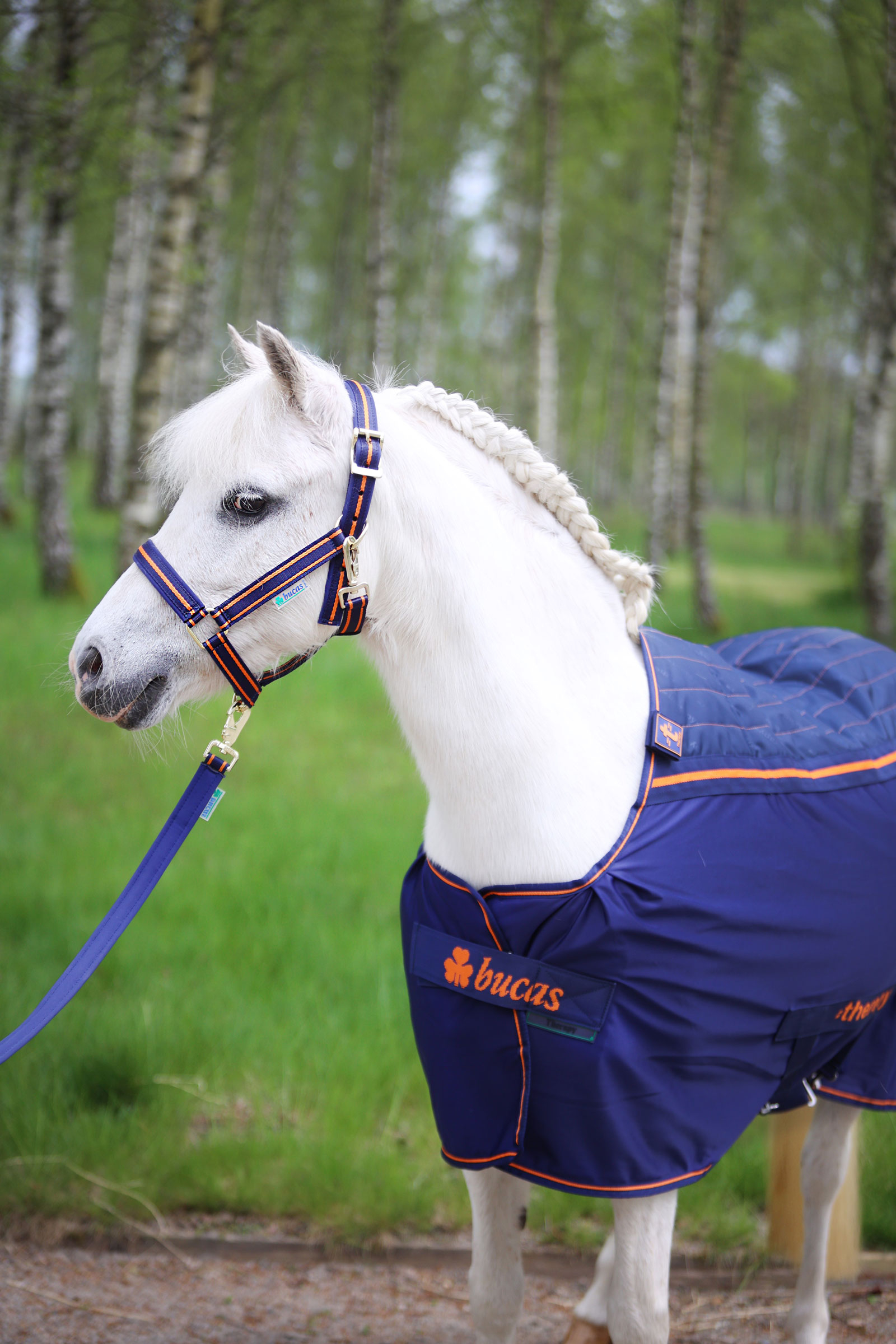 Bucas Therapy manta de secado para ponis, 0 g
