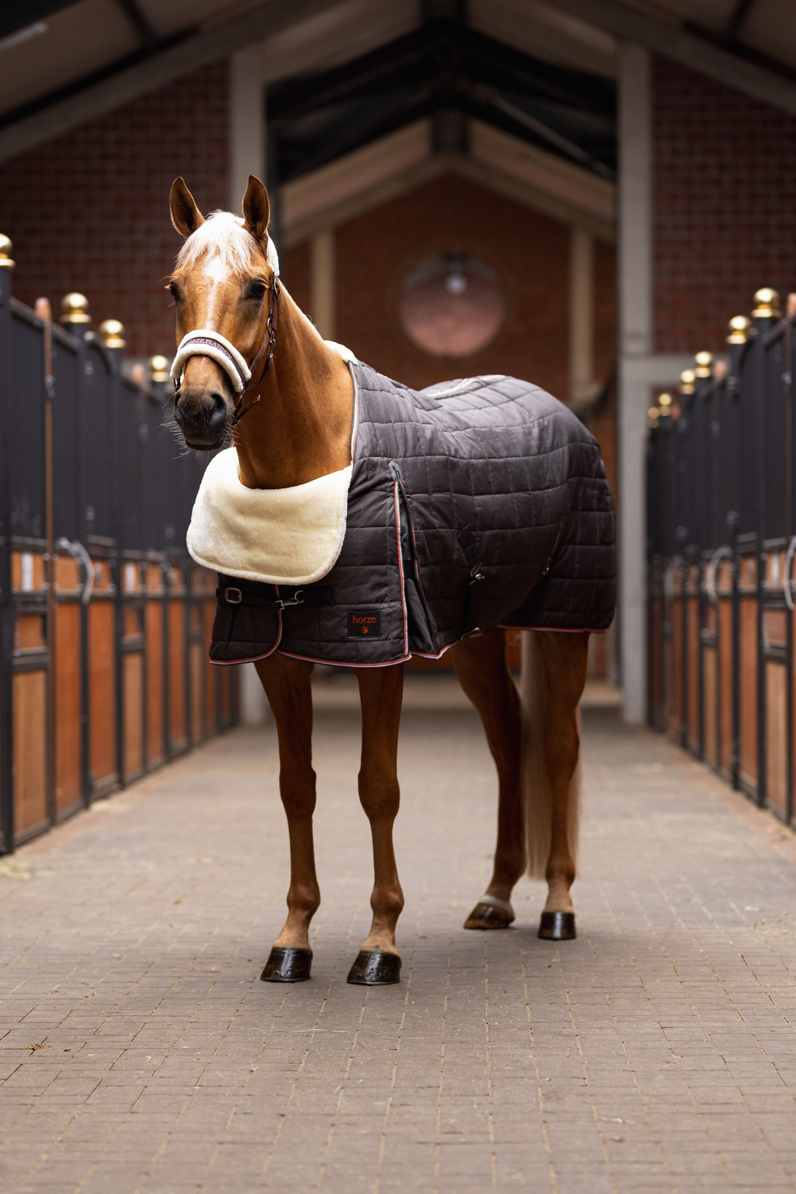 Protector de hombros Horze Confort