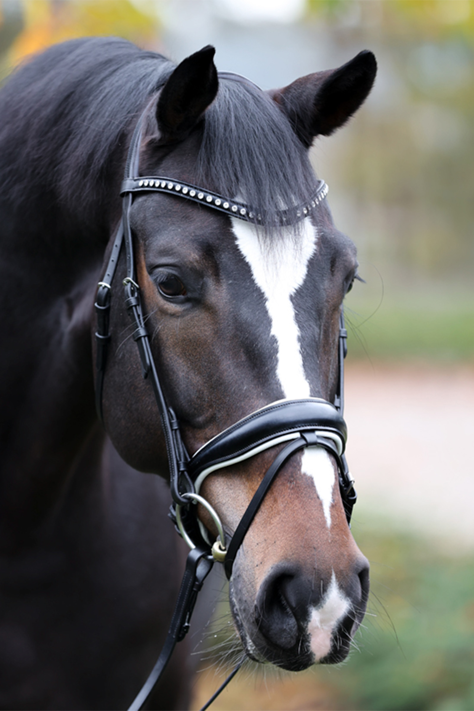 Kavalkade Charlotte Dressage Bridle Crank Noseband