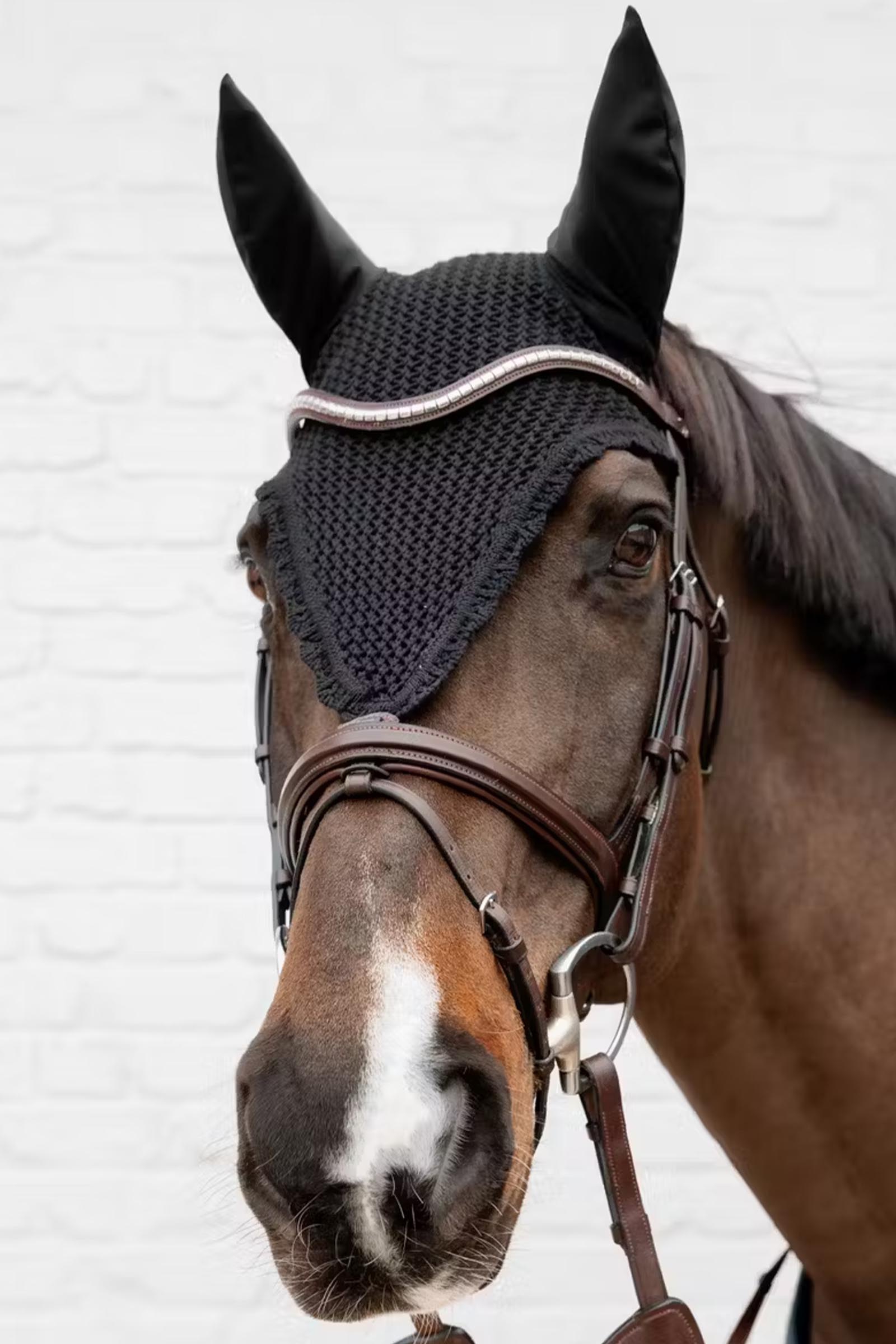 Kentucky orejeras antimoscas largas insonorizadas  