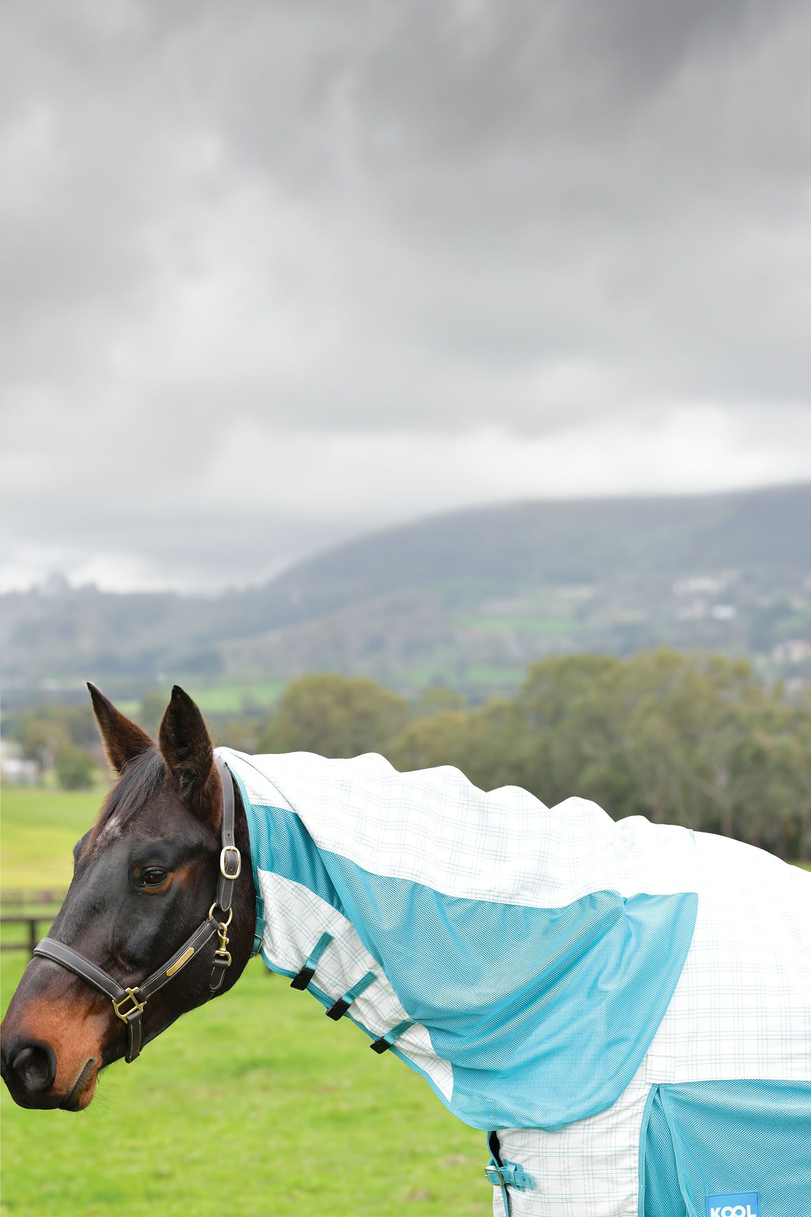 Weatherbeeta Kool Coat Algodón Airstream Ii Detach-A-Neck