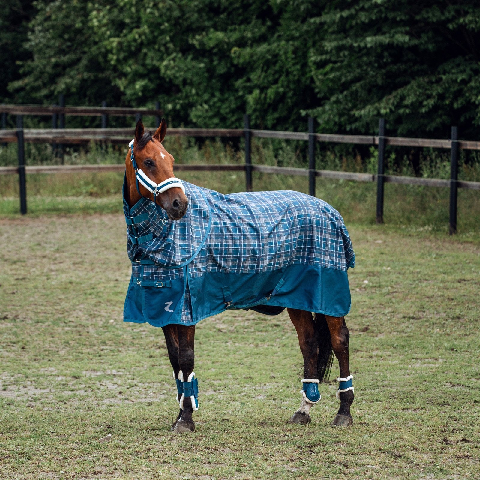 Protectores de menudillo Horze Caliber con forro de piel sintética