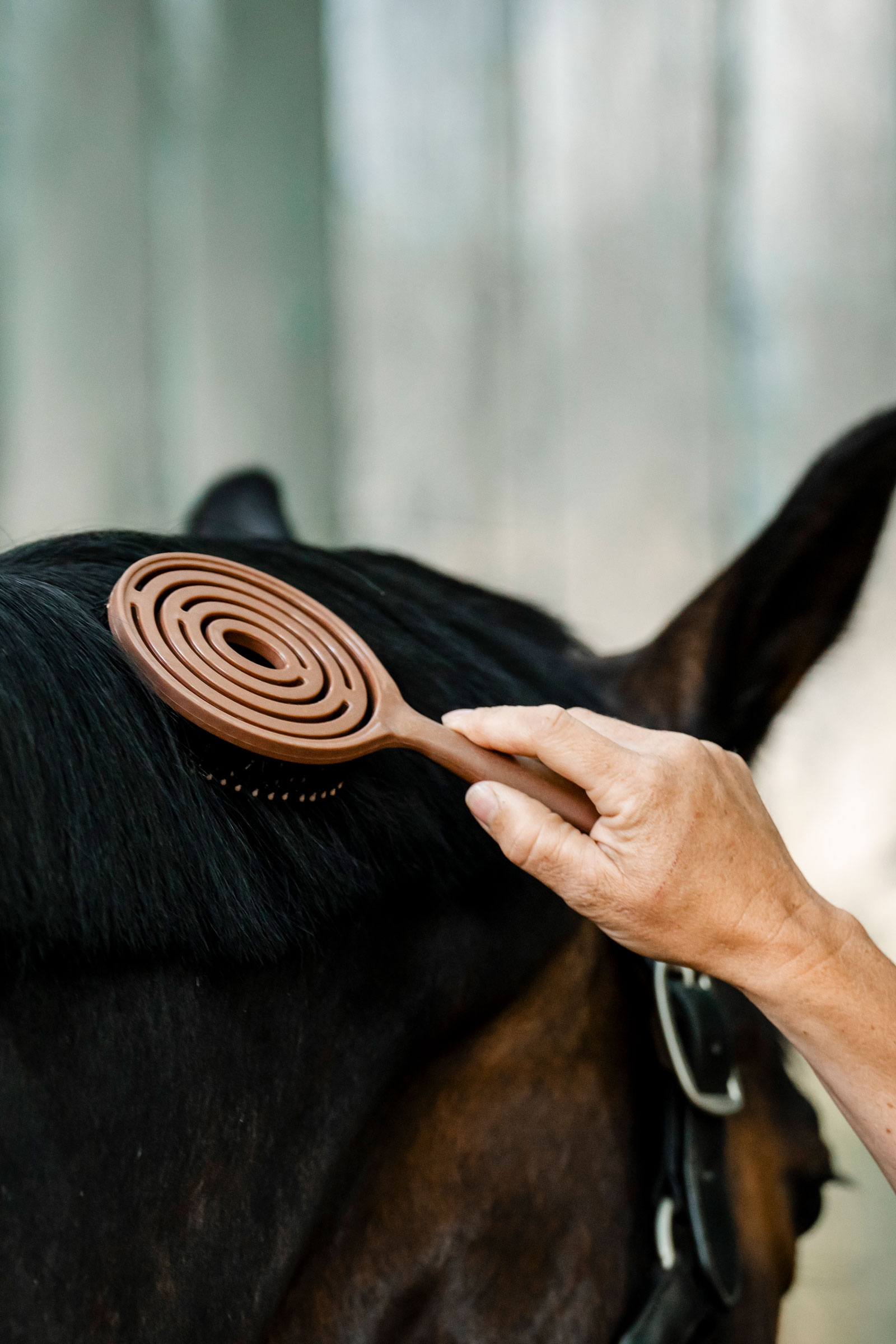 Horseware cepillo para crin y cola