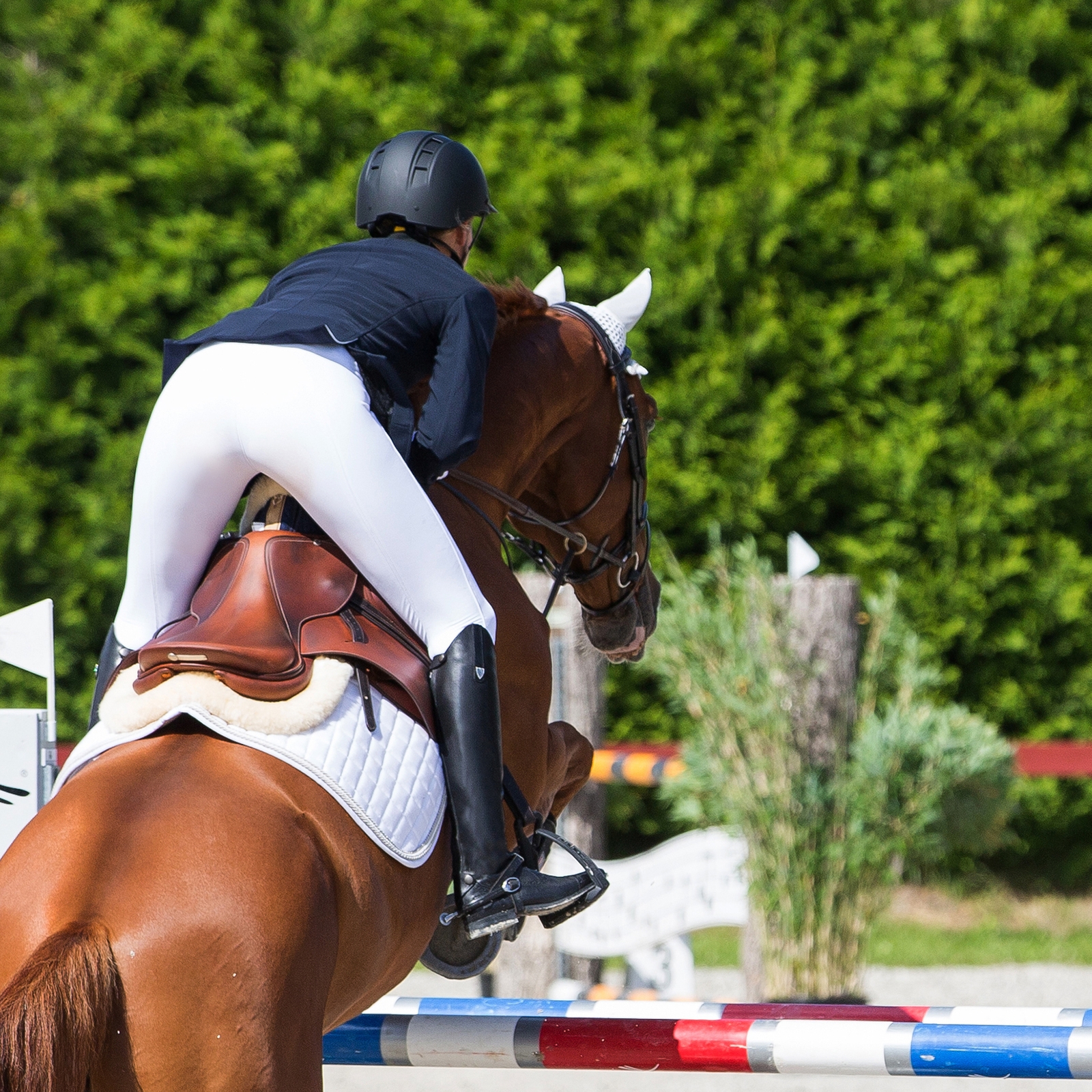 Botas Altas de Cuero Auténtico Horze Winslow