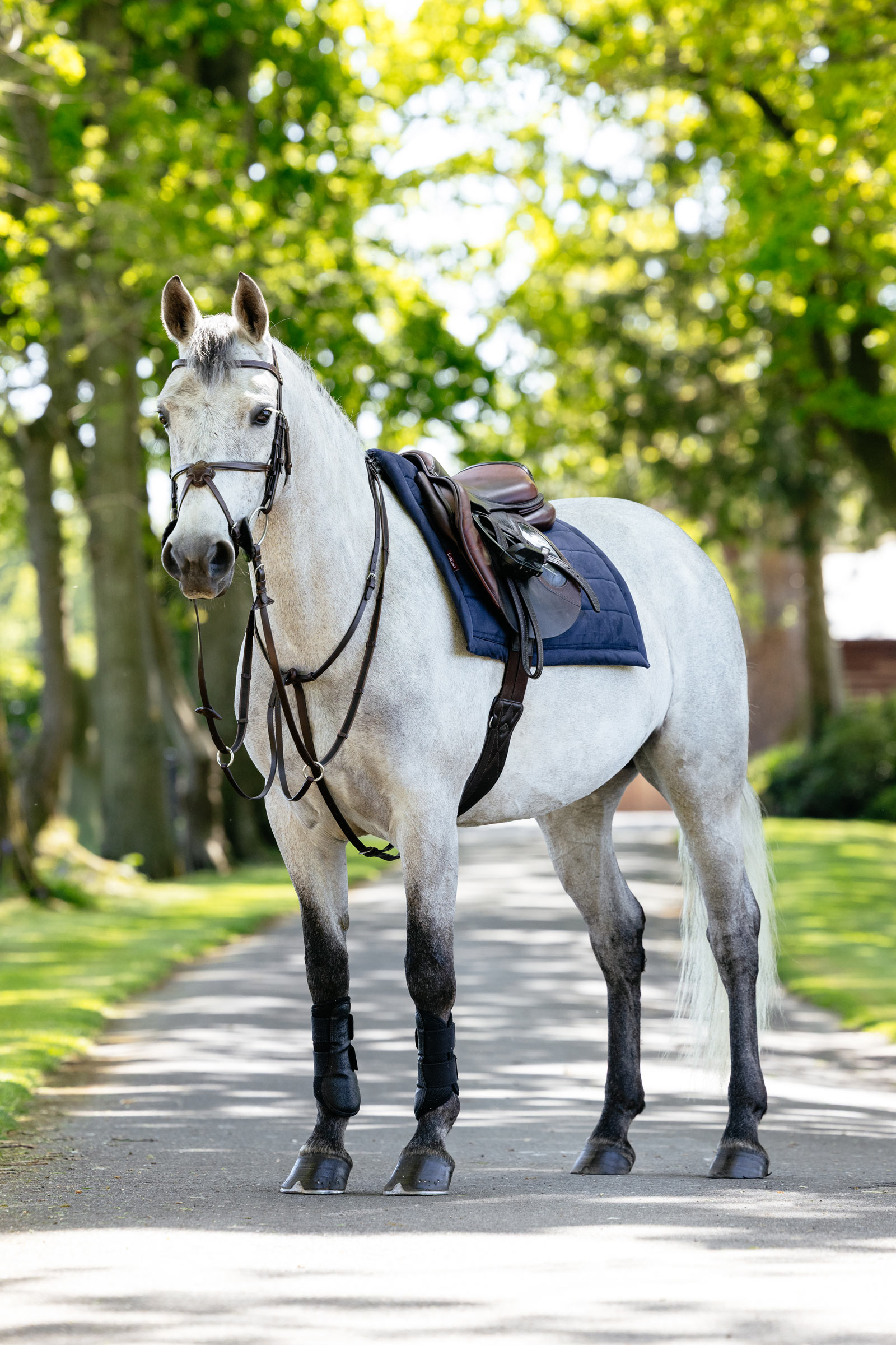 LeMieux Pillow mantilla uso general acolchada