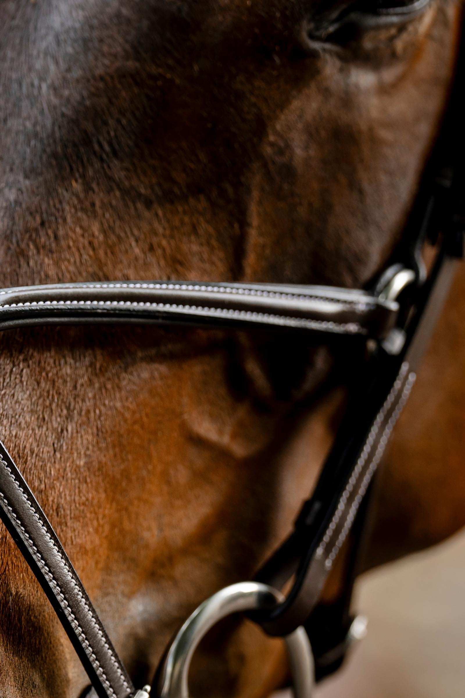 Horseware brida con muserola cruzada