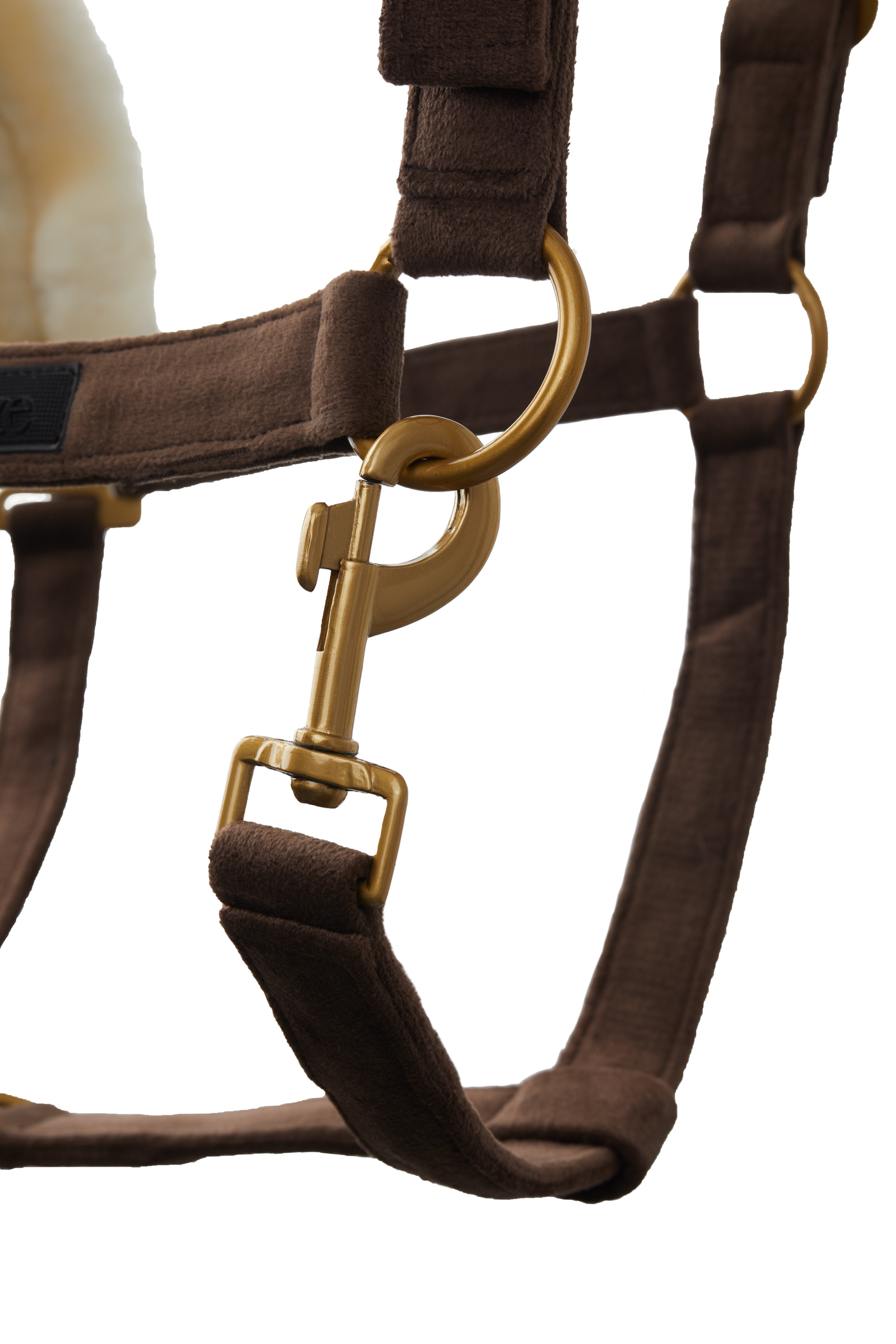 Cabezada de Cuadra Horze St. Moritz