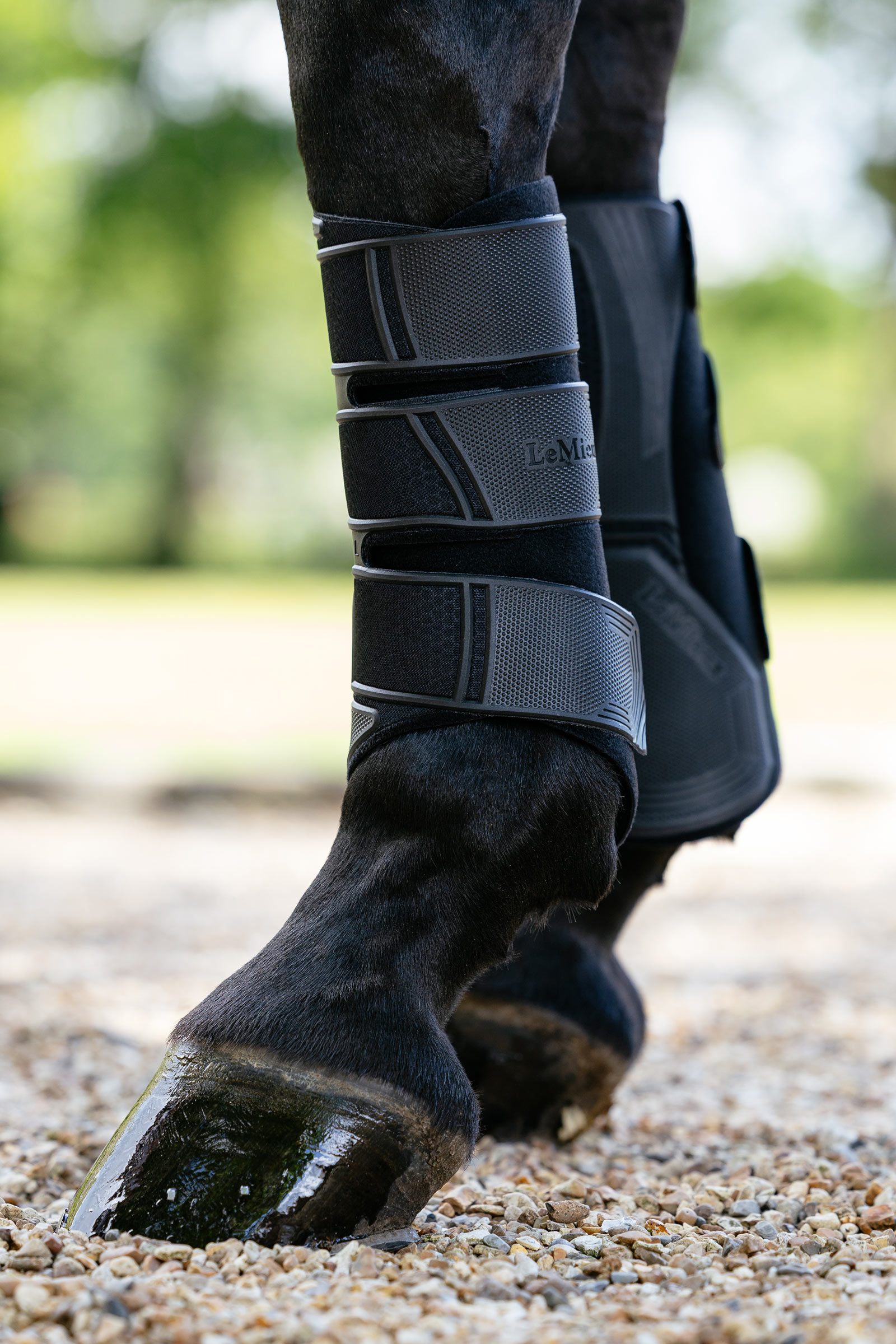 Black LeMieux Technical protectores doma