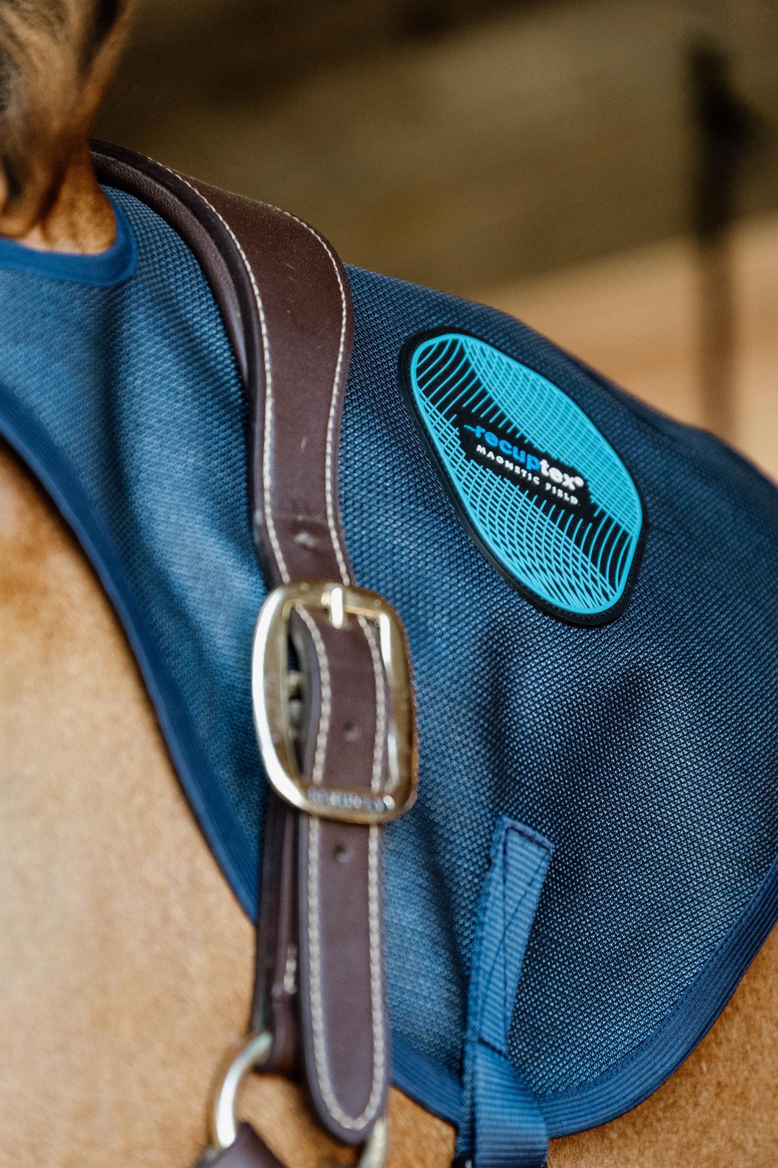 Kentucky Horseware protector de cuello magn&eacute;tico Recuptex