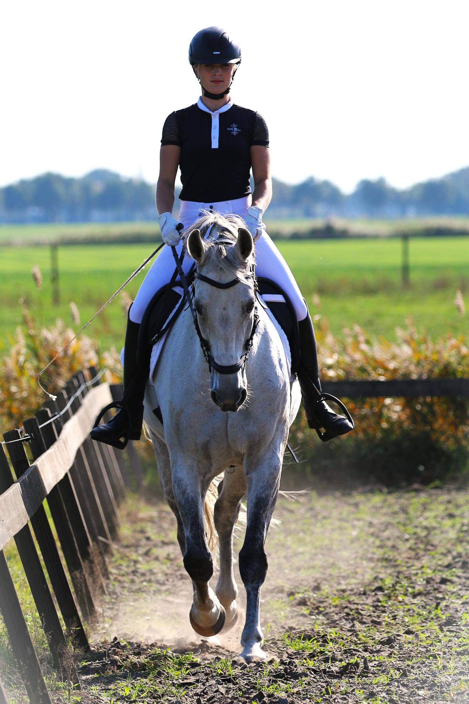 F.R.A. Freedom Riding Articles Calli Cabezada de montar Hackamore con riendas (Sistema 2)