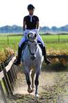 F.R.A. Freedom Riding Articles Calli Cabezada de montar Hackamore con riendas (Sistema 2)