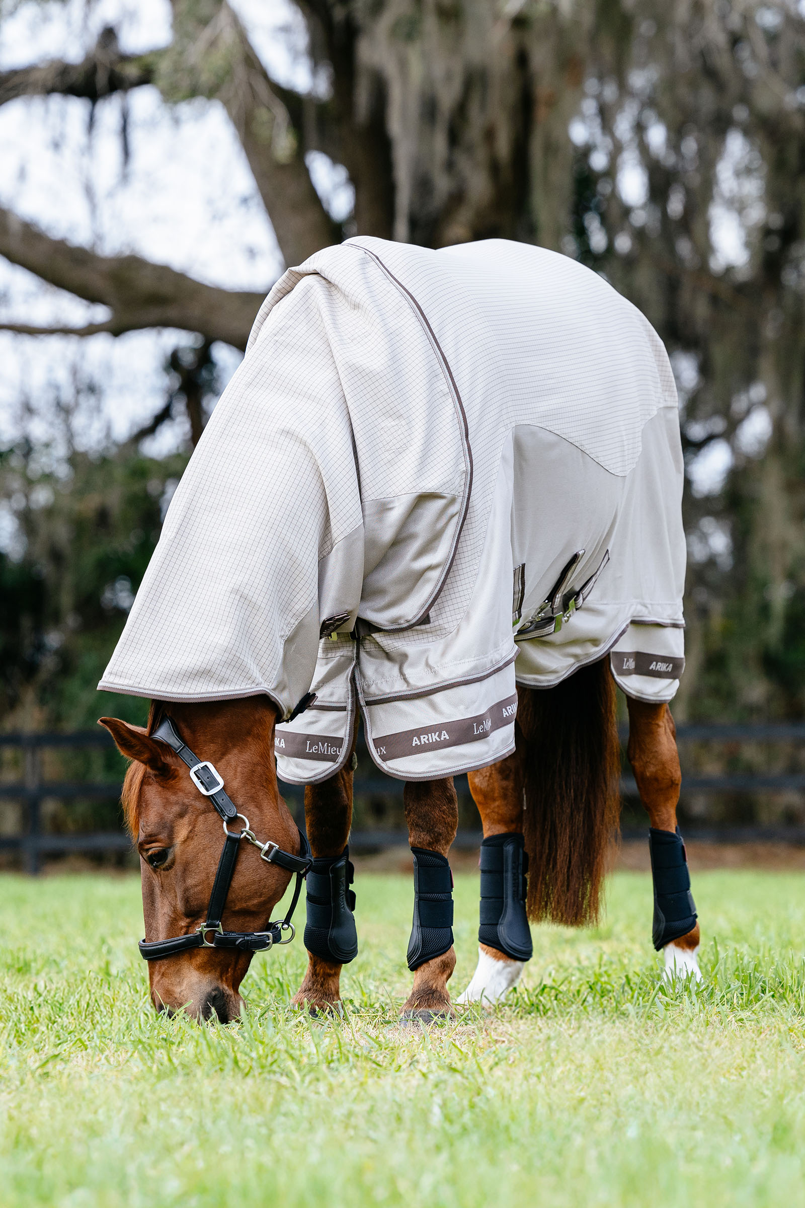 LeMieux Arika 450D Sunstopper manta de exterior con cuello desmontable, 0 g