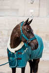 Cabezada de Cuadra Kentucky Horsewear Velvet