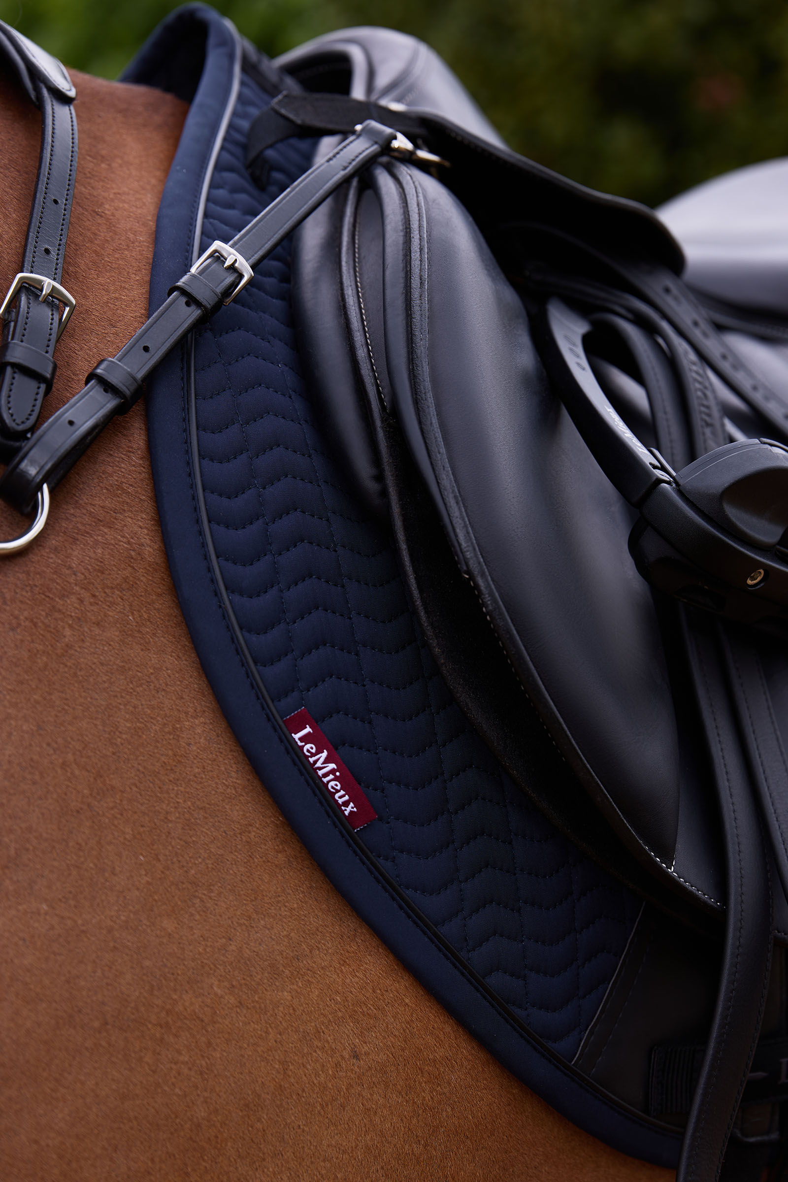 LeMieux Essence sudadero de salto Eurojump