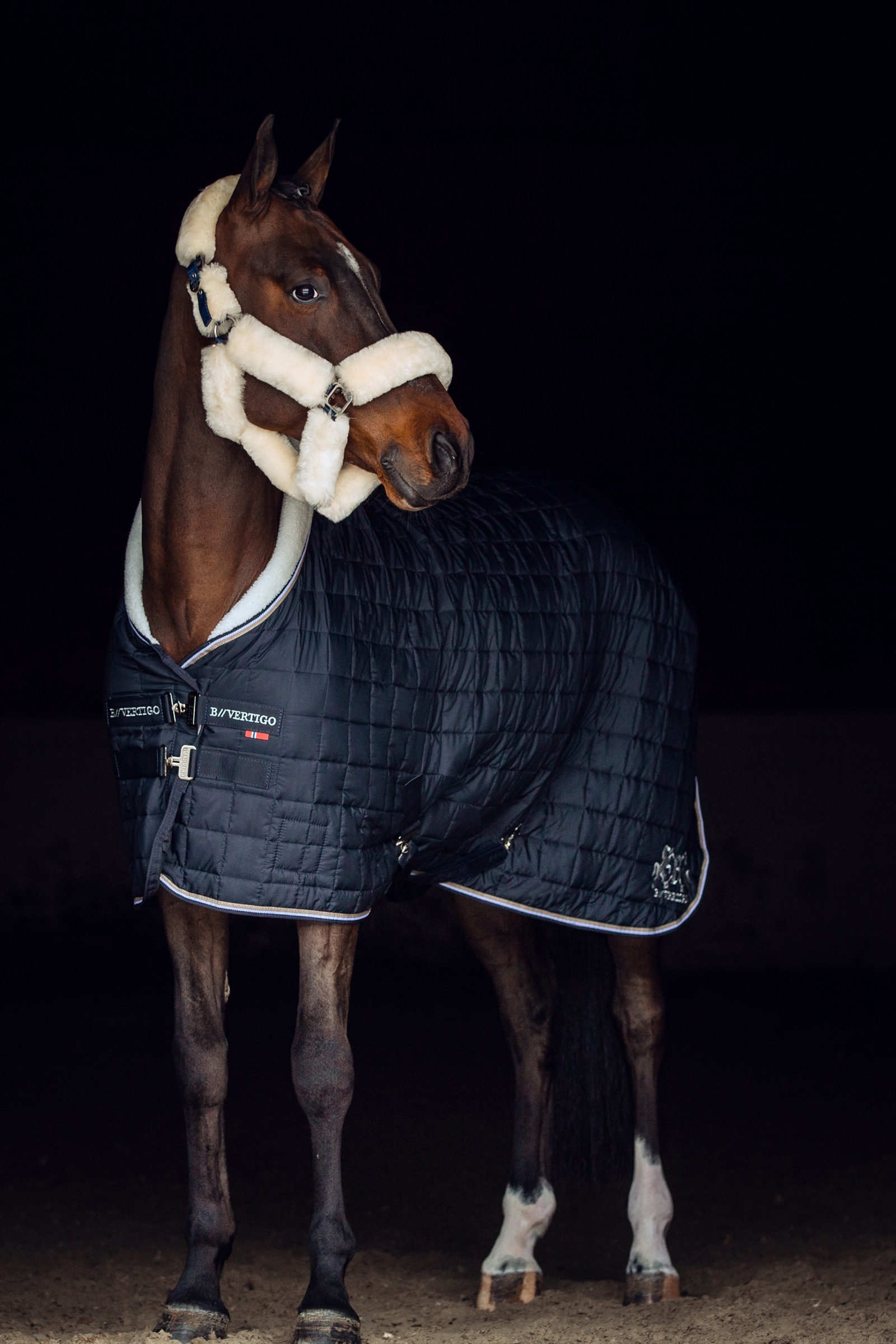 Cabezada de Cuadra con Piel Sint&eacute;ticoB Vertigo Alaska