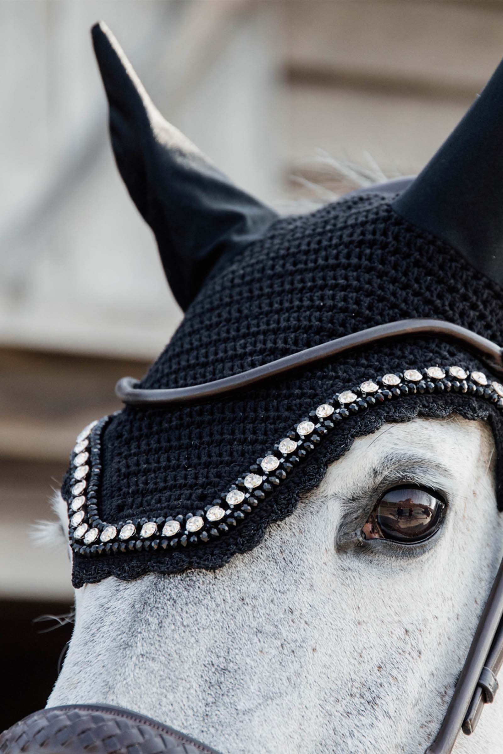 Orejeras Piedra Grande & Perla Kentucky Horsewear Wellington