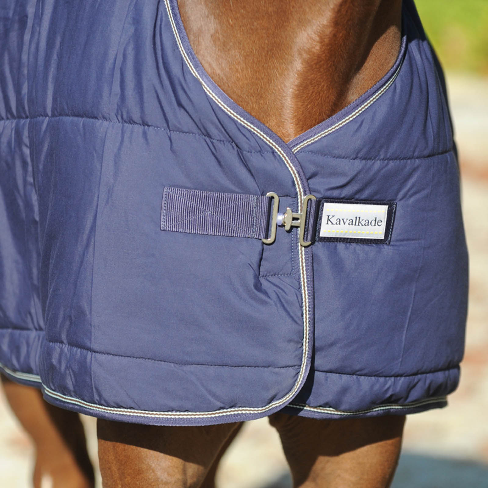 Kavalkade Bajo Alfombra 50g