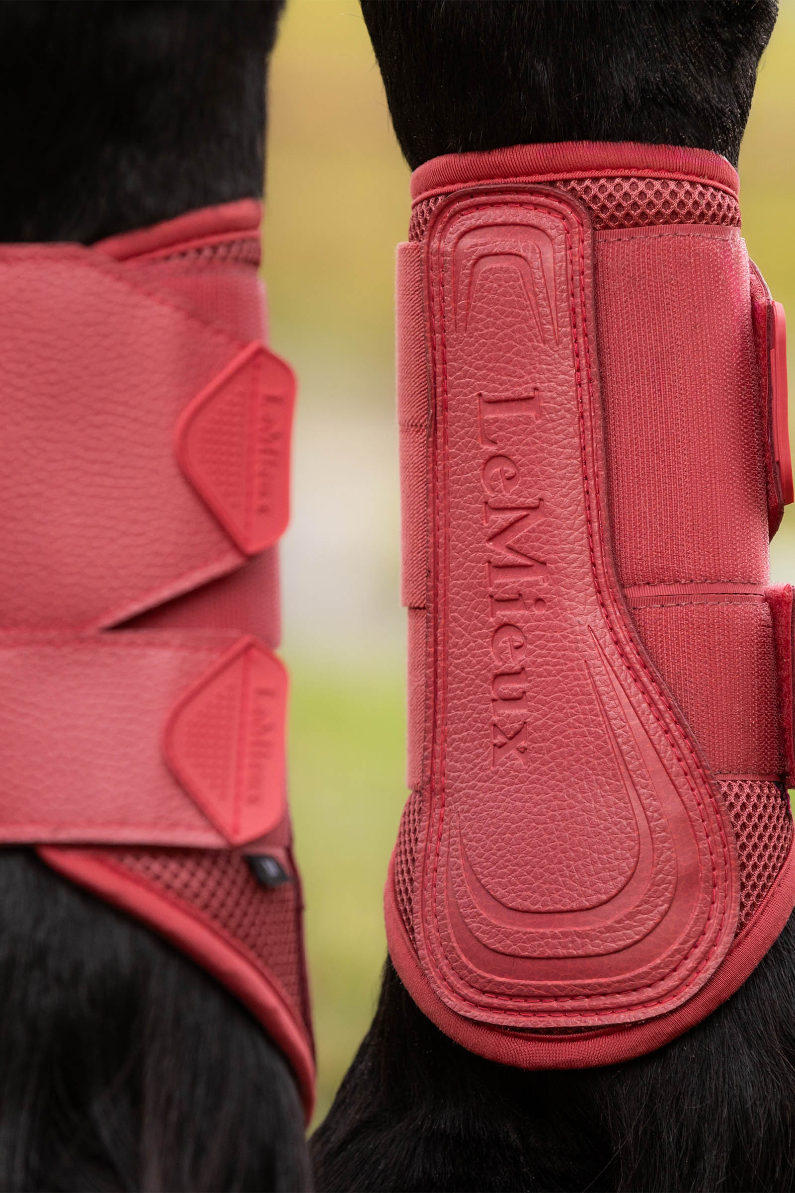 LeMieux Arika protectores de malla