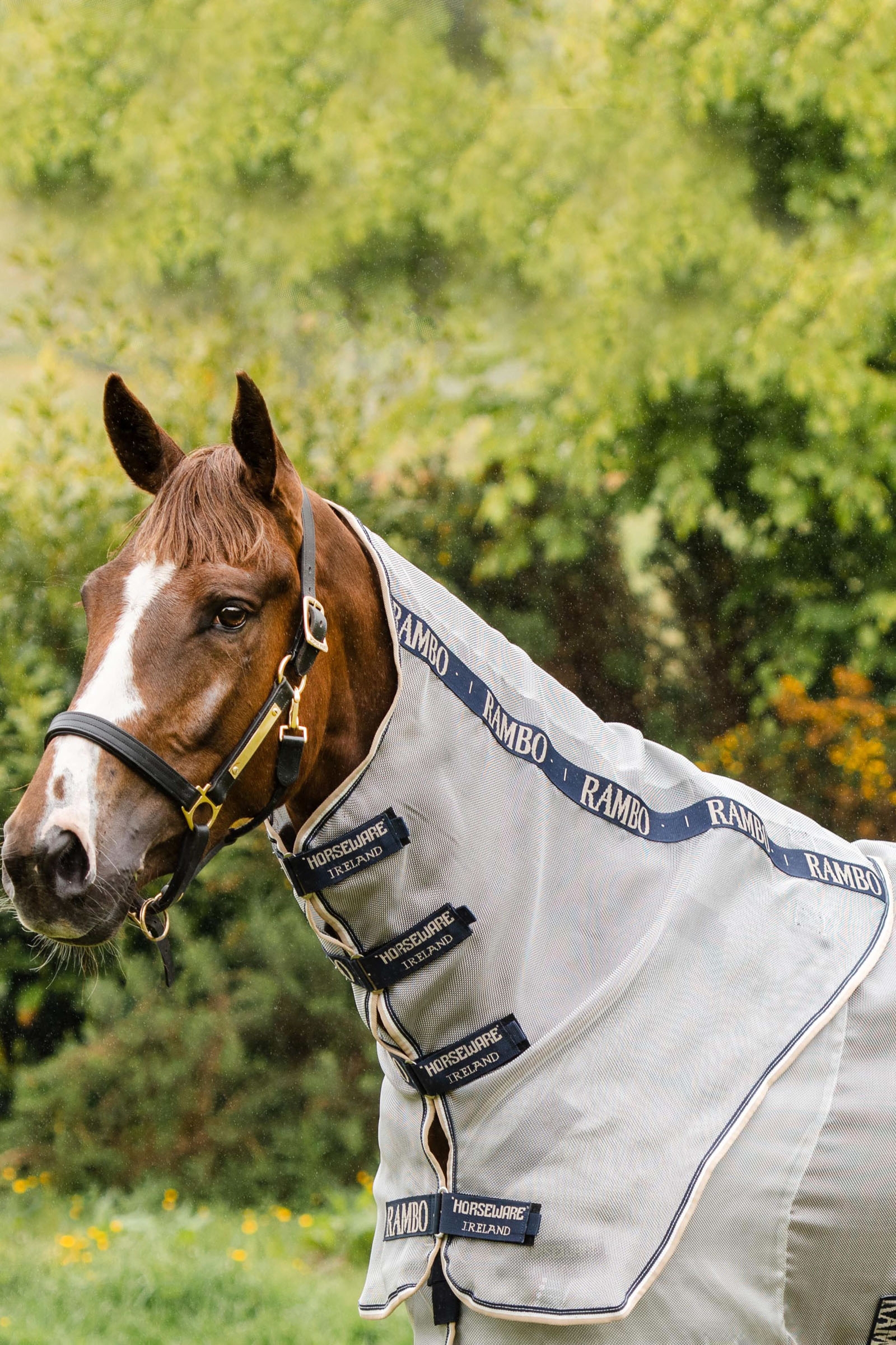 Horseware Rambo Protector cubrecuello