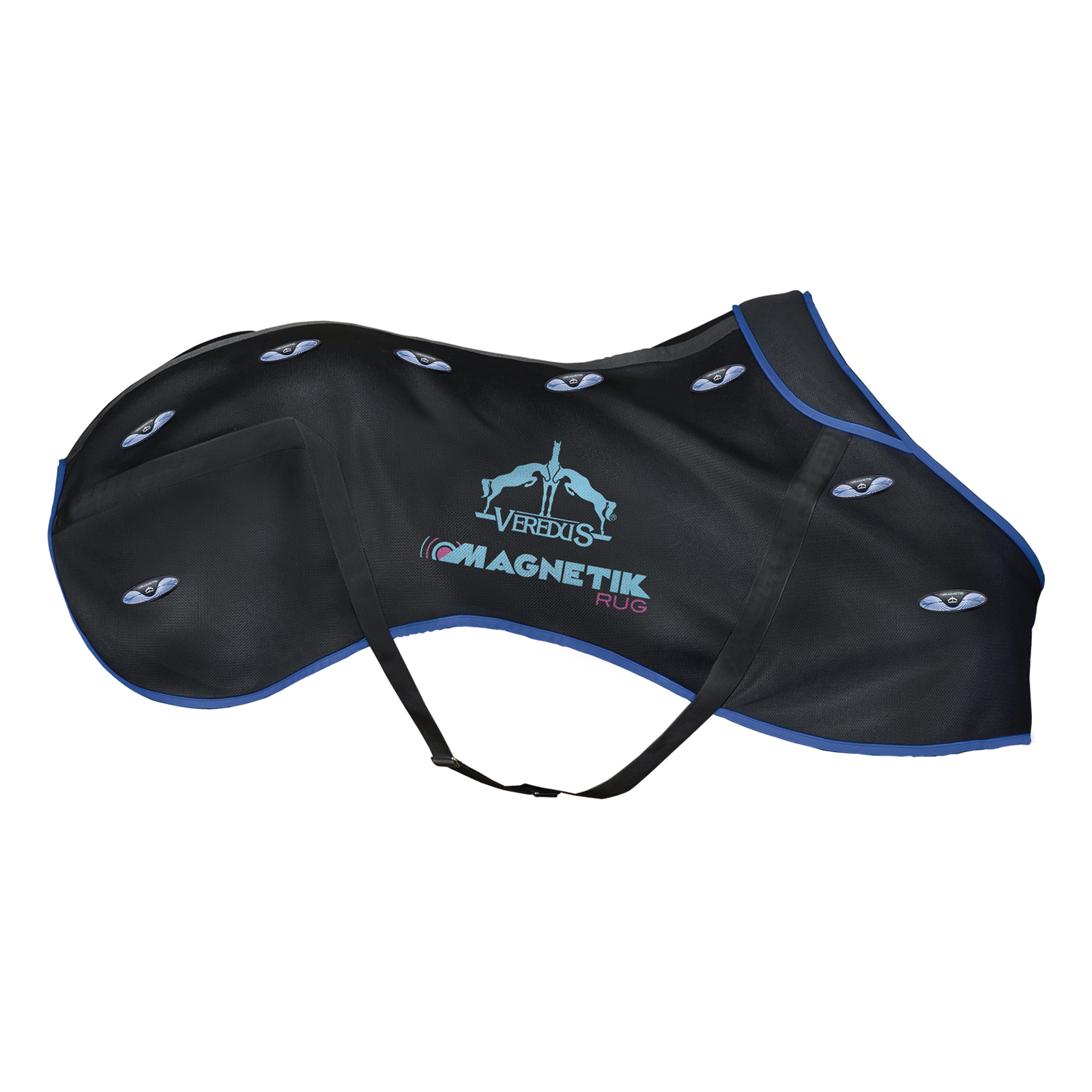 Manta Veredus Magnetik