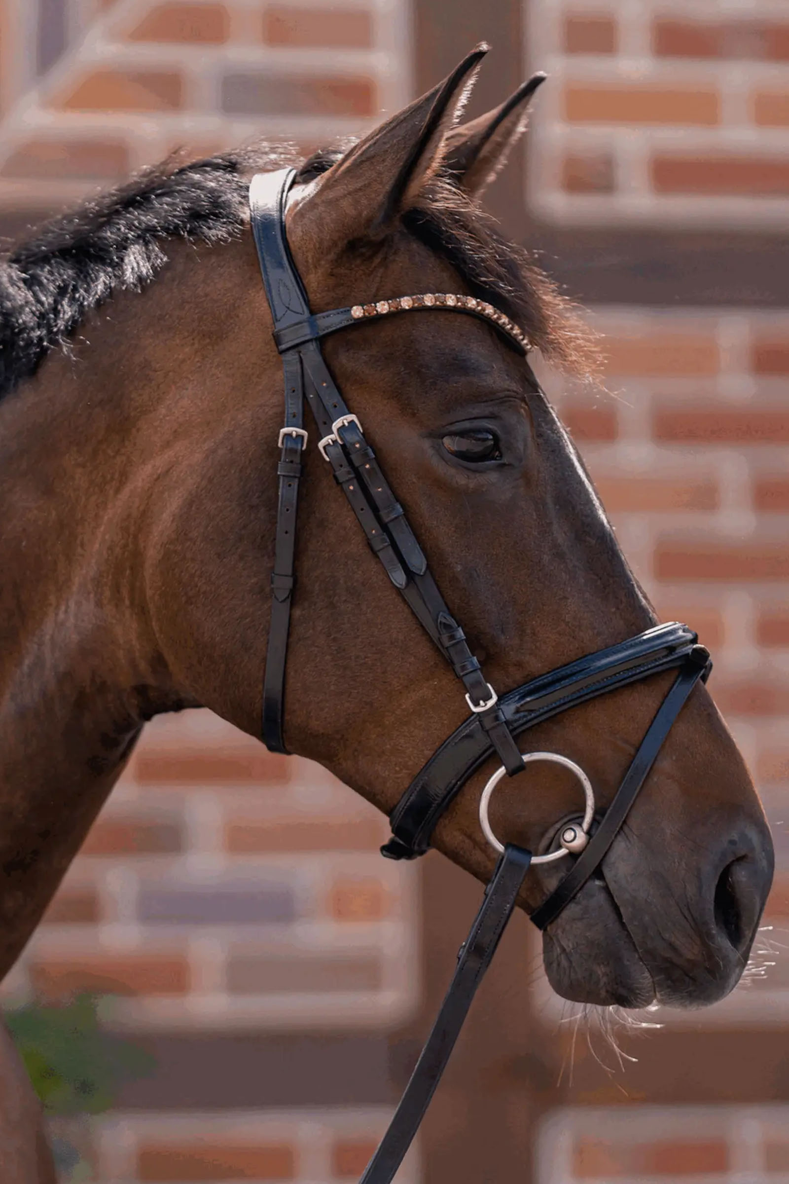 Sprenger Novocontact filete de anillas sueltas 14mm simple articulaci&oacute;n Sensogan con anillas de acero inoxidable de 70mm