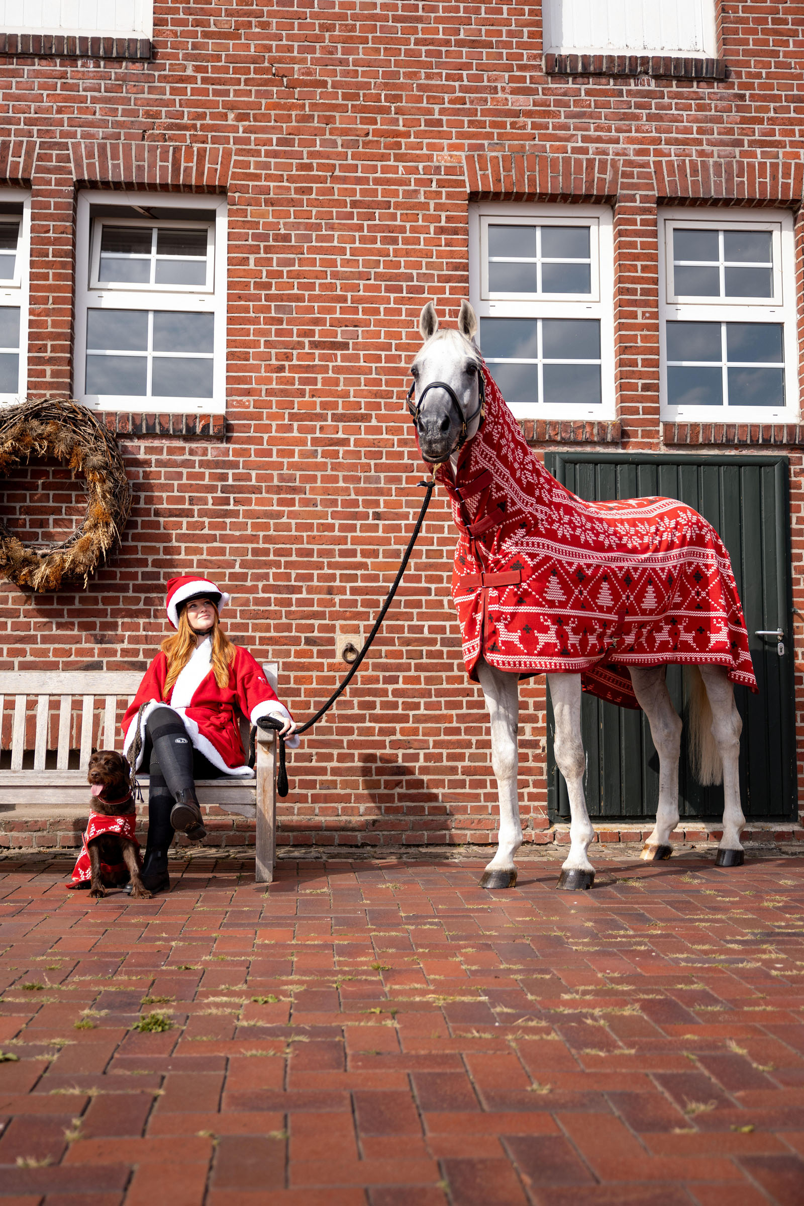 Horze suéter navideño para caballos