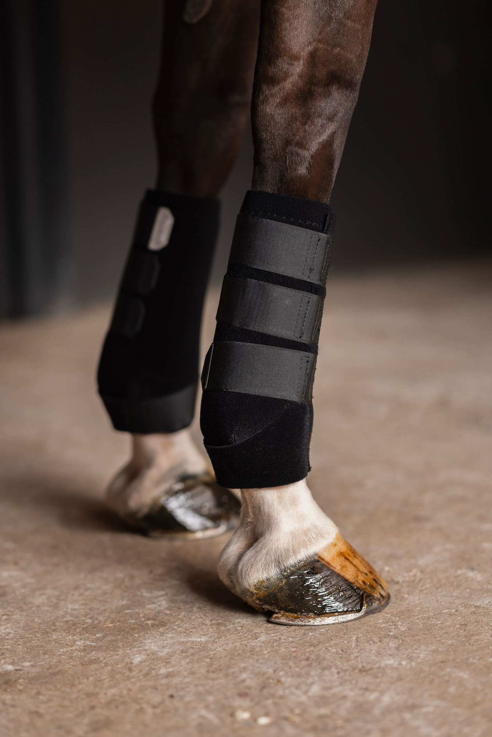 Protectores Horze ProSoft, Delanteros