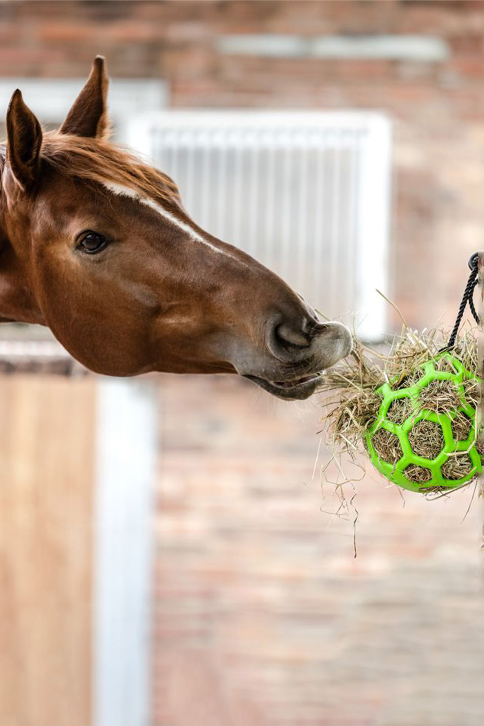Waldhausen pelota de heno